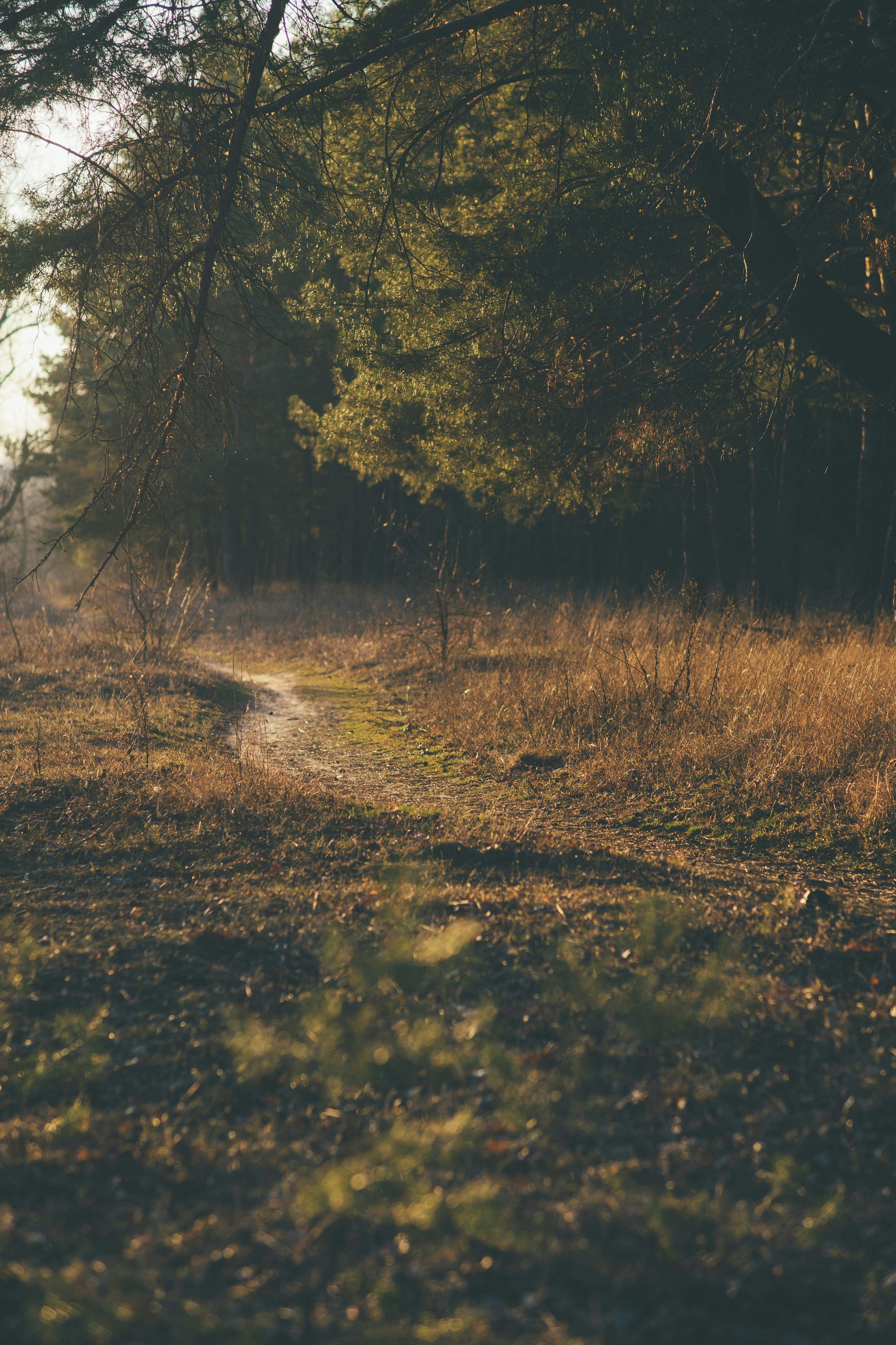 Photo by onmywayhome