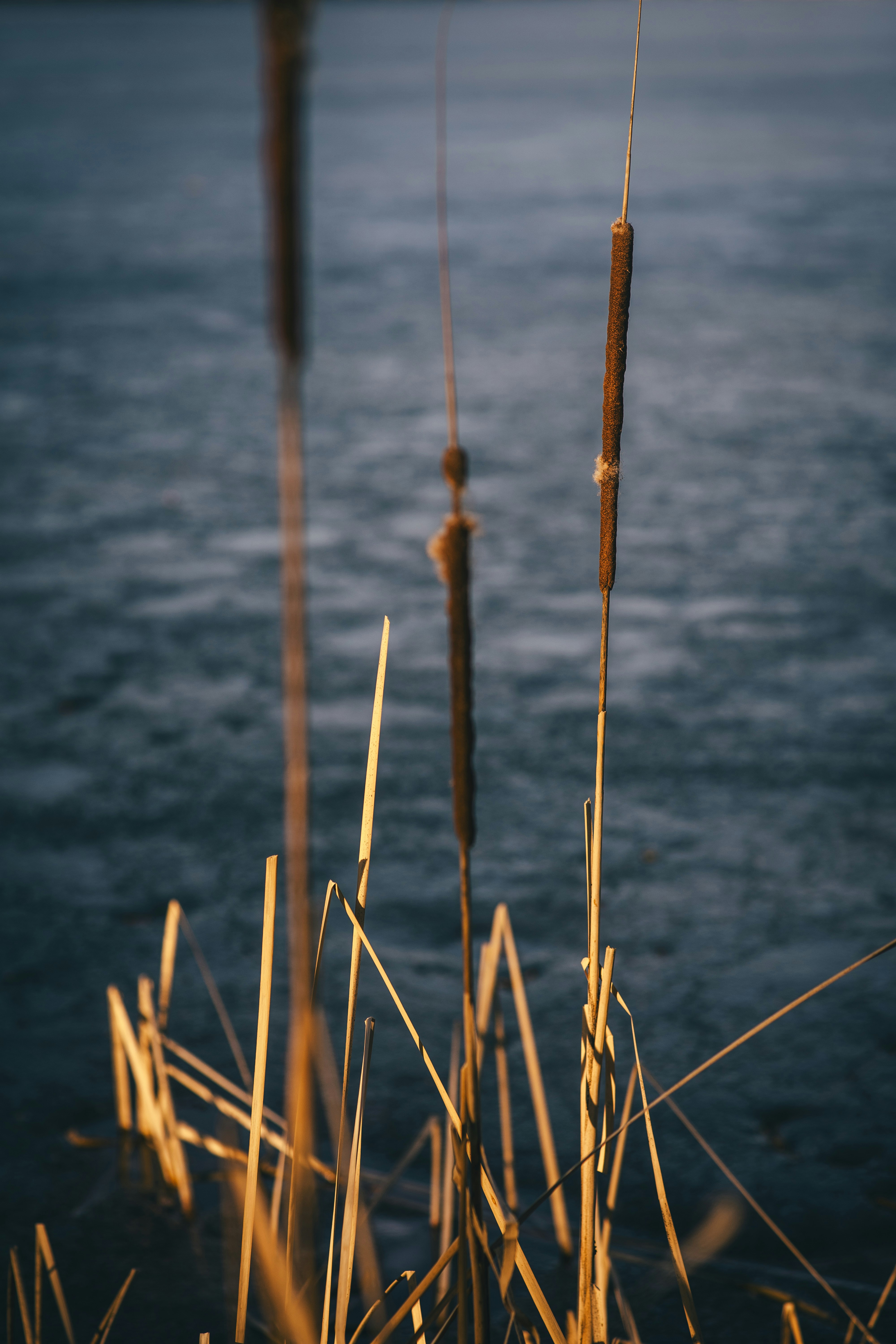 Photo by onmywayhome