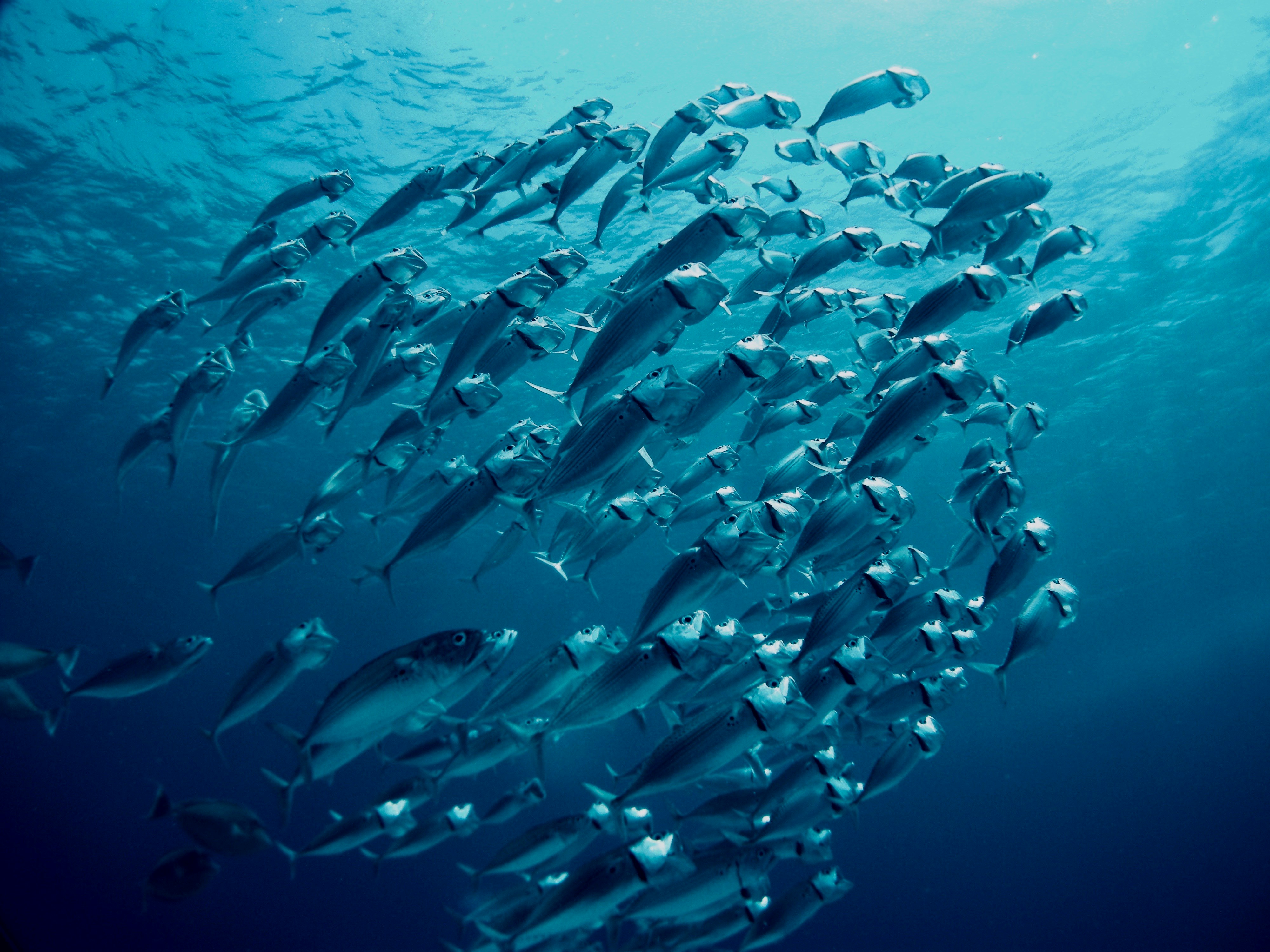 Photo by hotspur1705