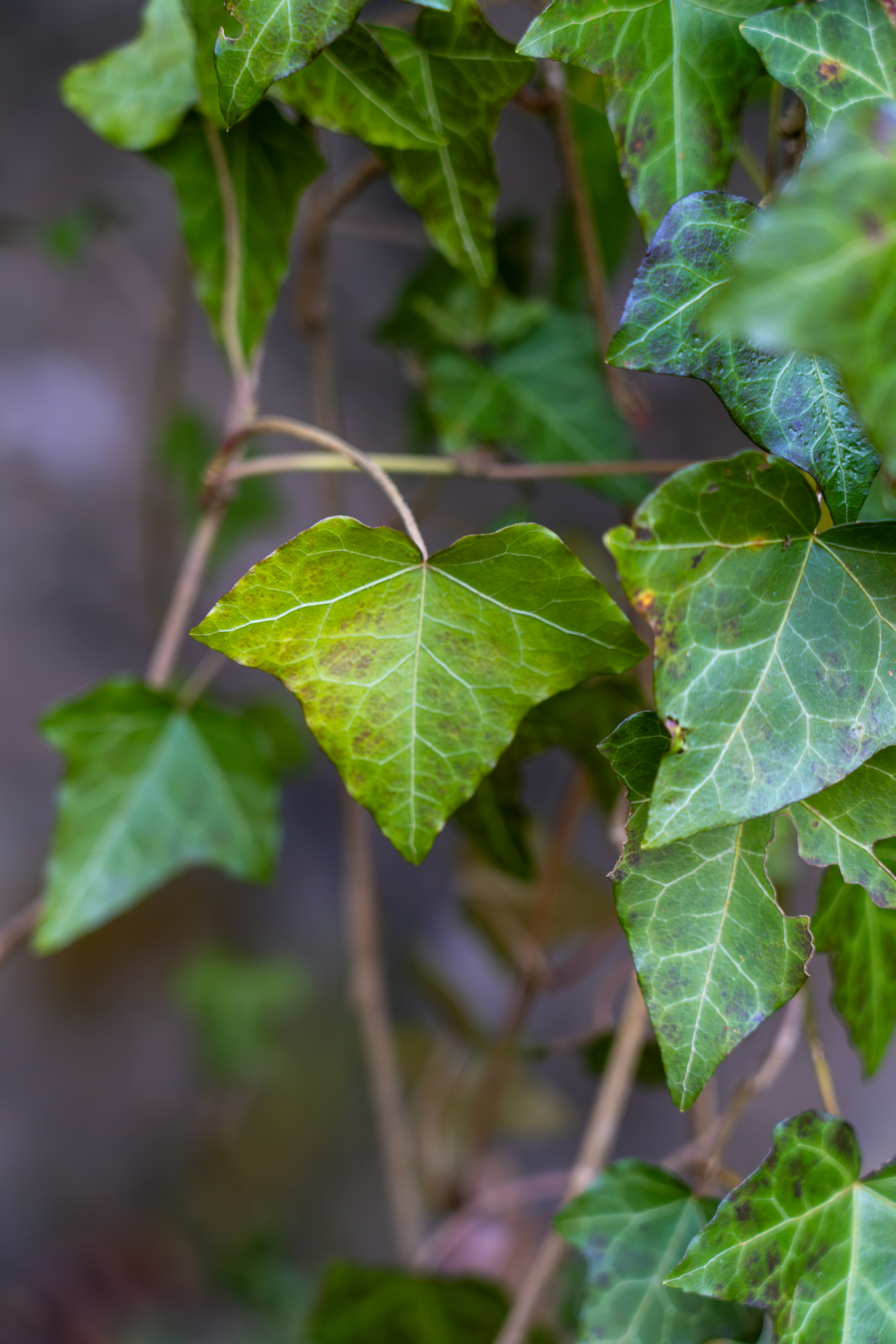 Photo by nathan030997