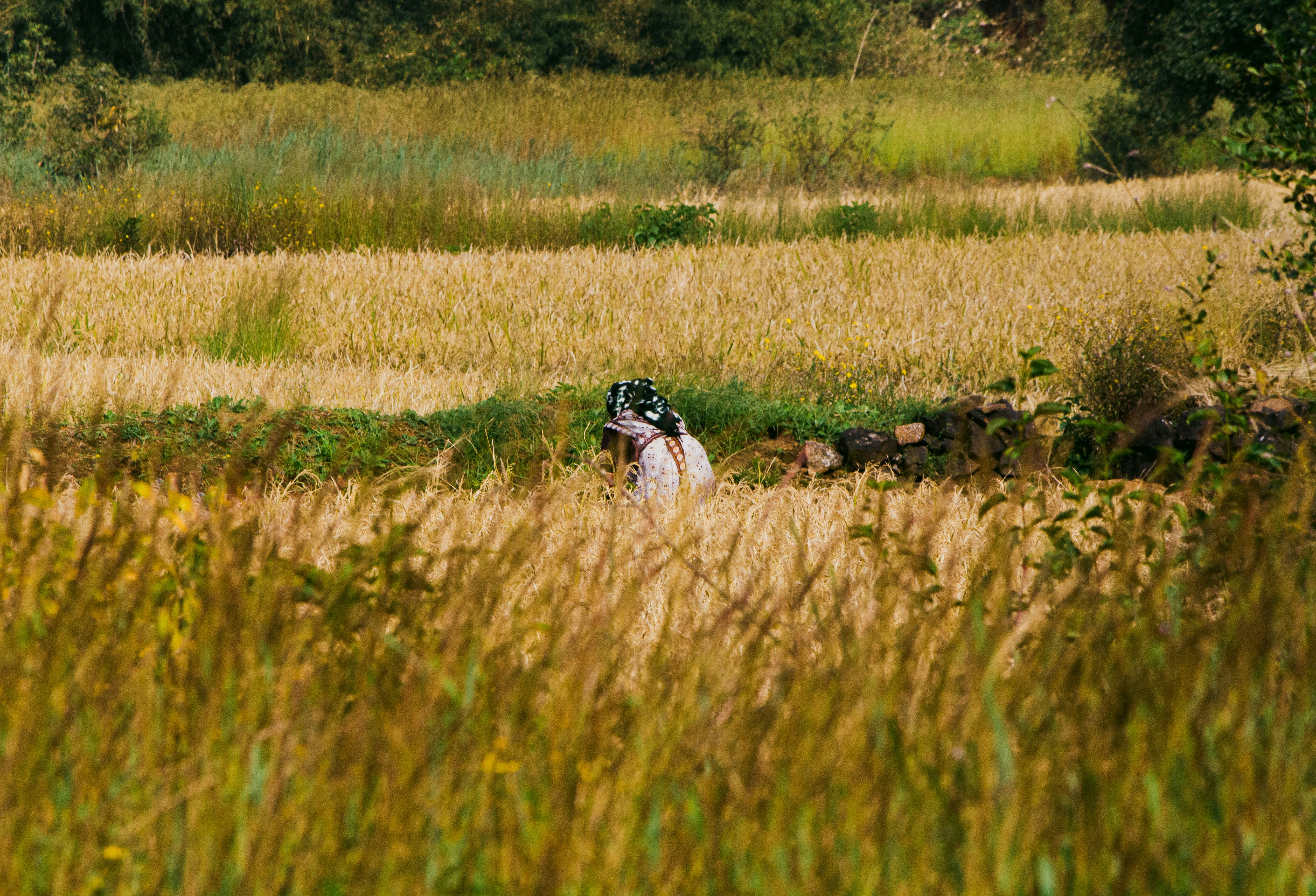 Photo by nikhil_0506