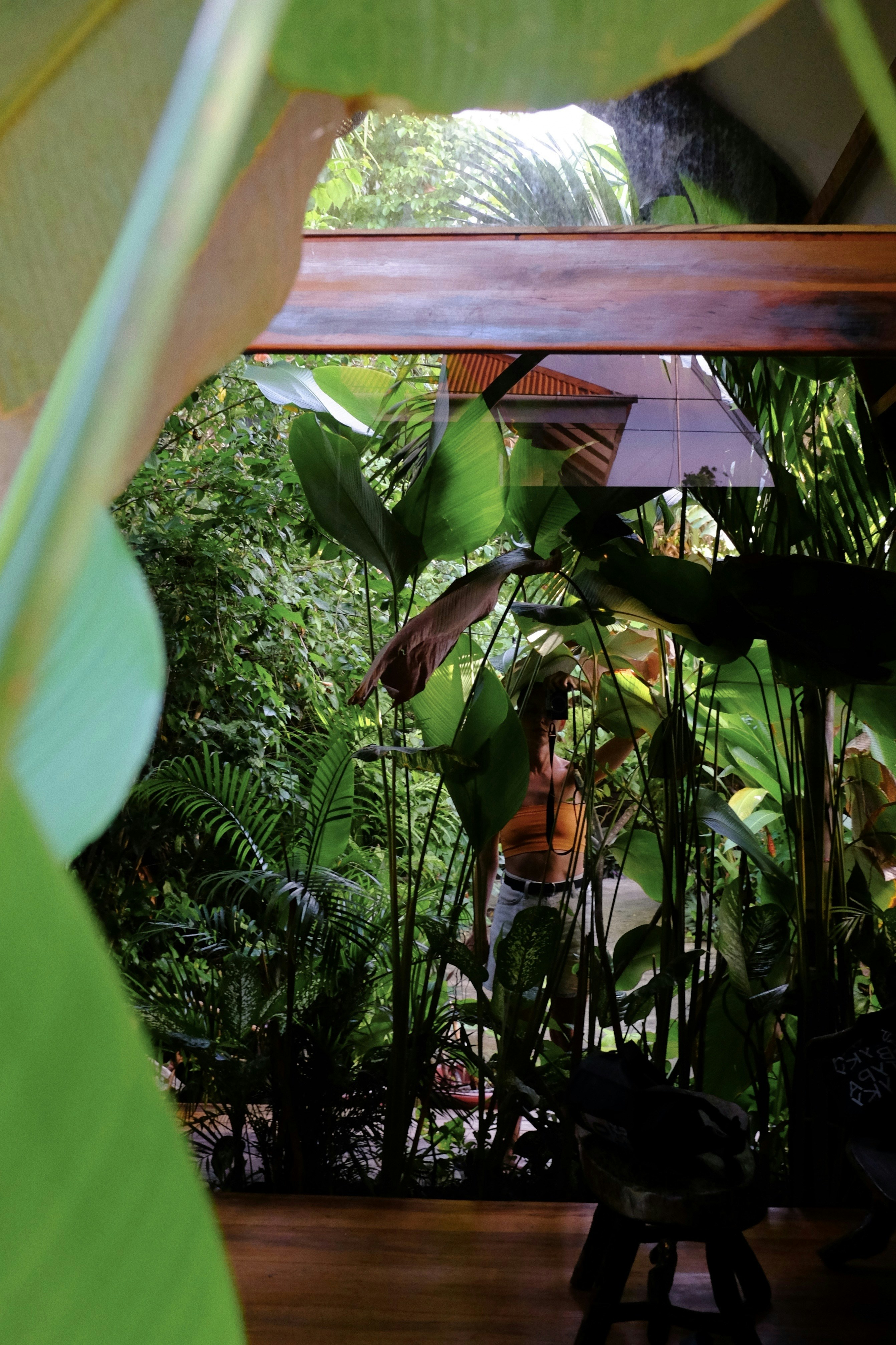 Grüne Pflanzen umgeben eine Person, die sich im Glas spiegelt.