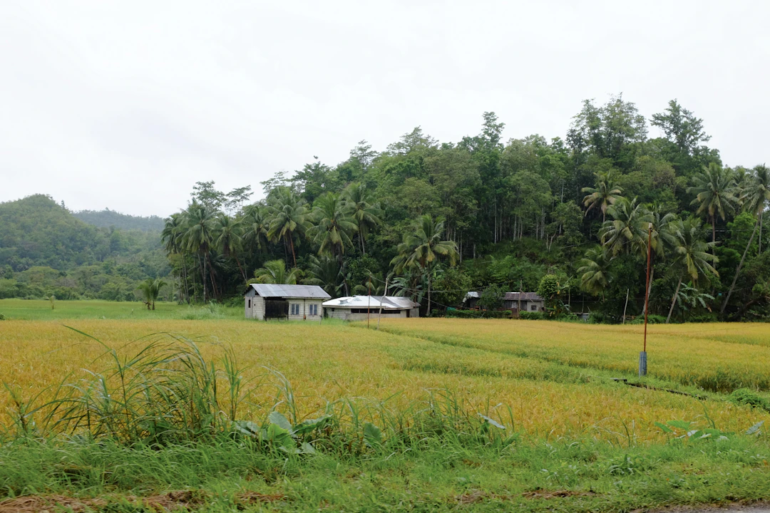Family Travel Guide: 3 Days in Bohol, Philippines