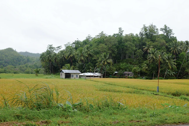 Family Travel Guide: 3 Days in Bohol, Philippines