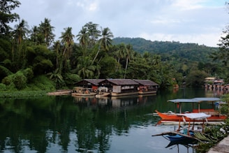Scenic river with boats and lush greenery surrounds.