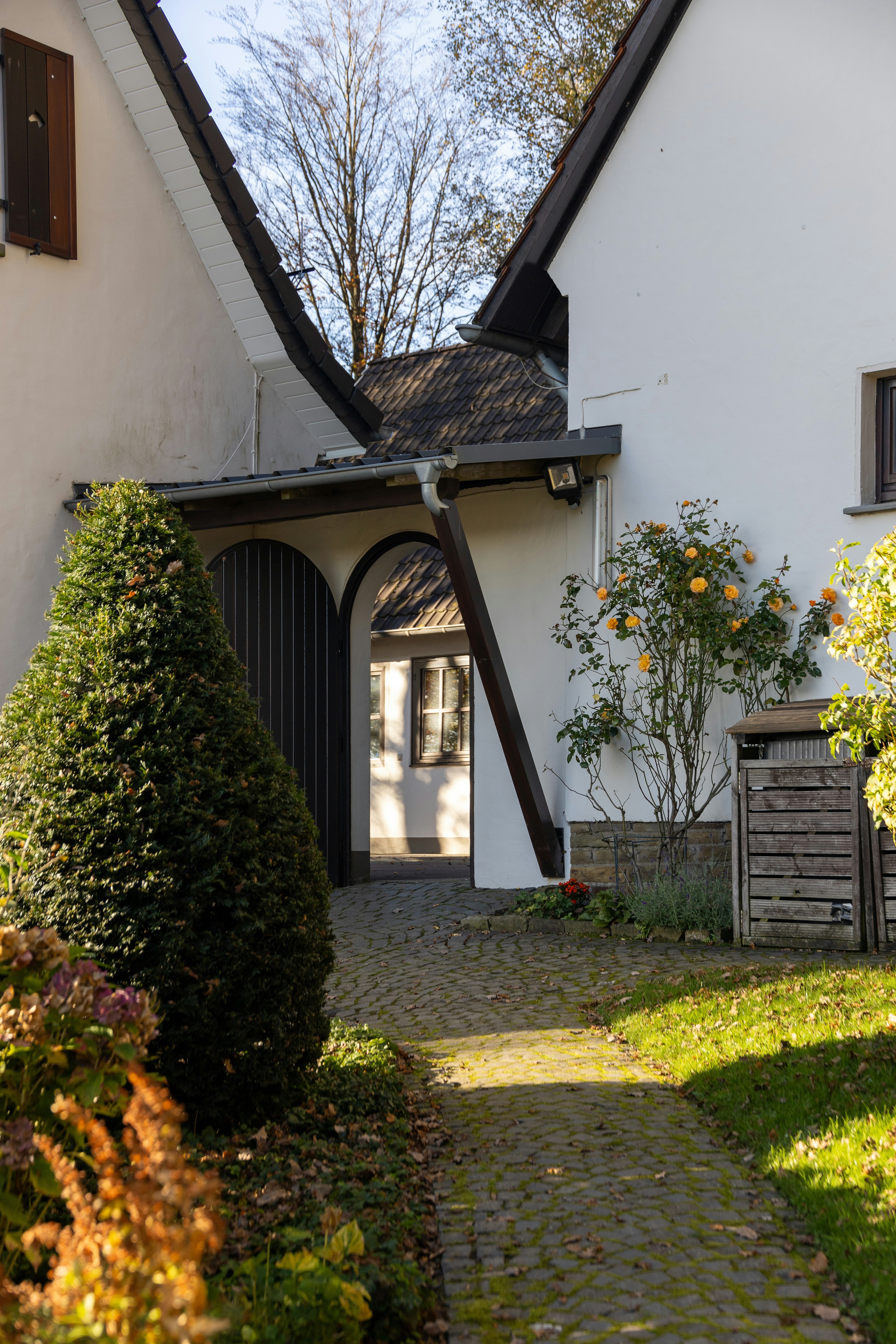 Photo by stockbirken