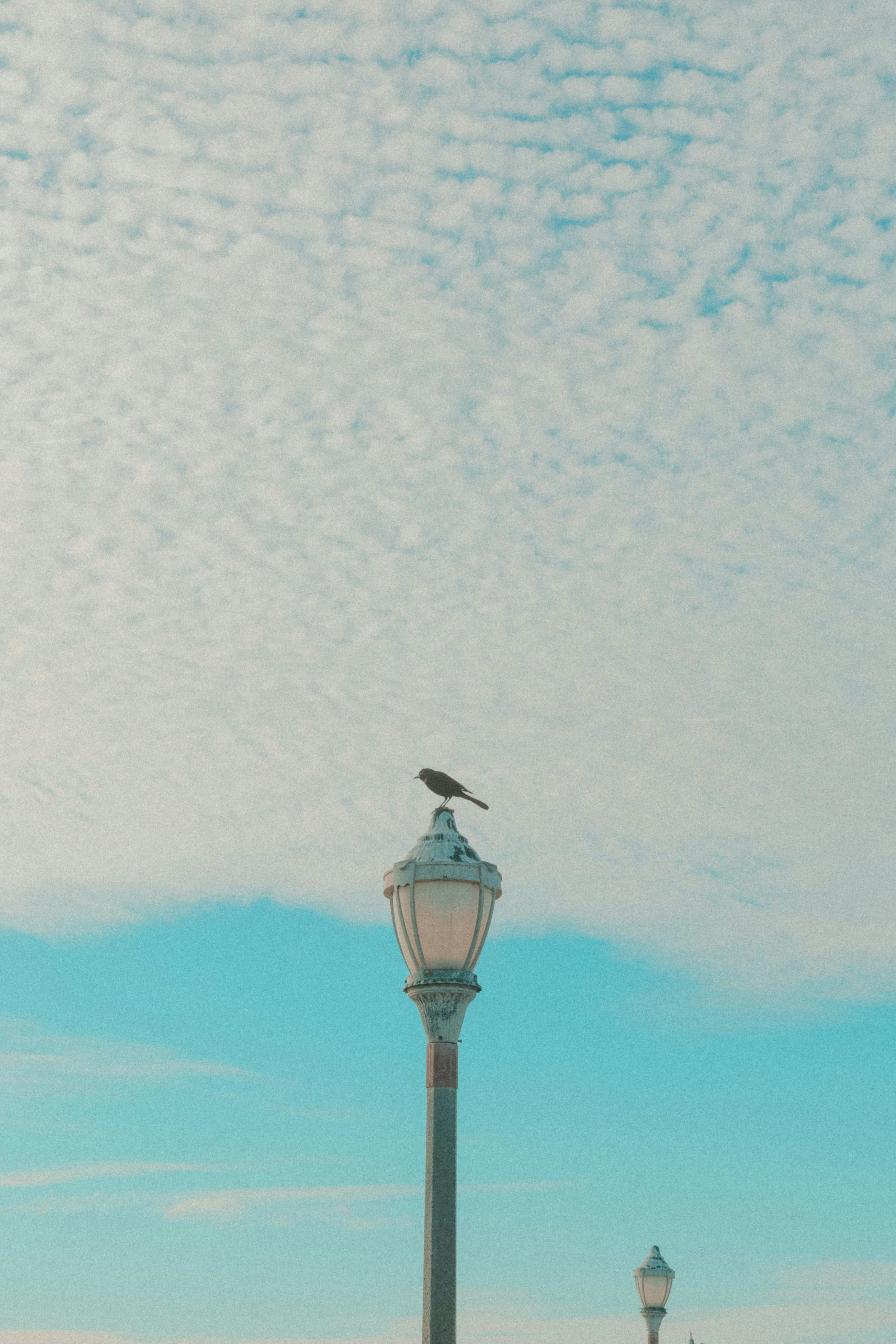 Photo by paralitik