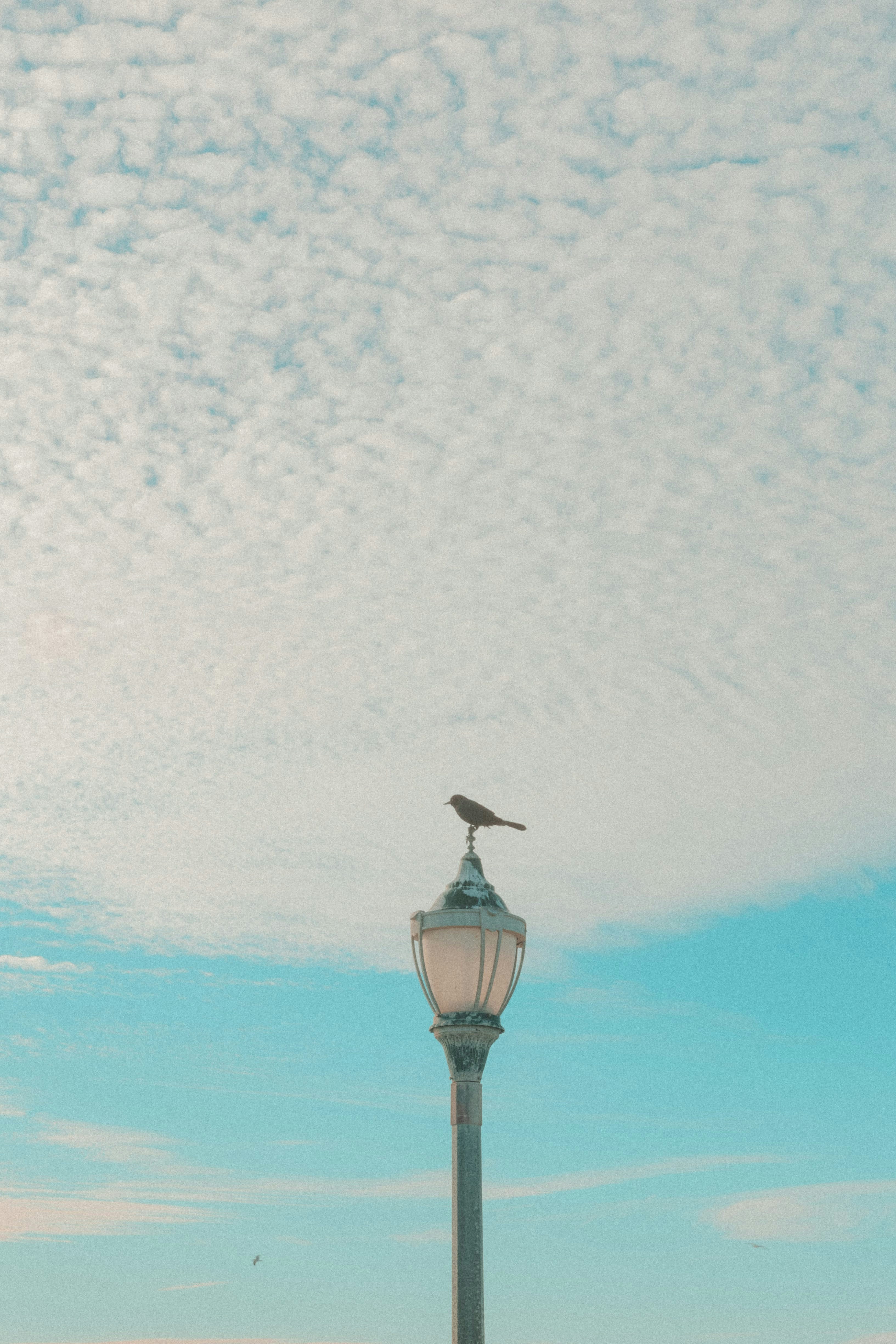 Photo by paralitik