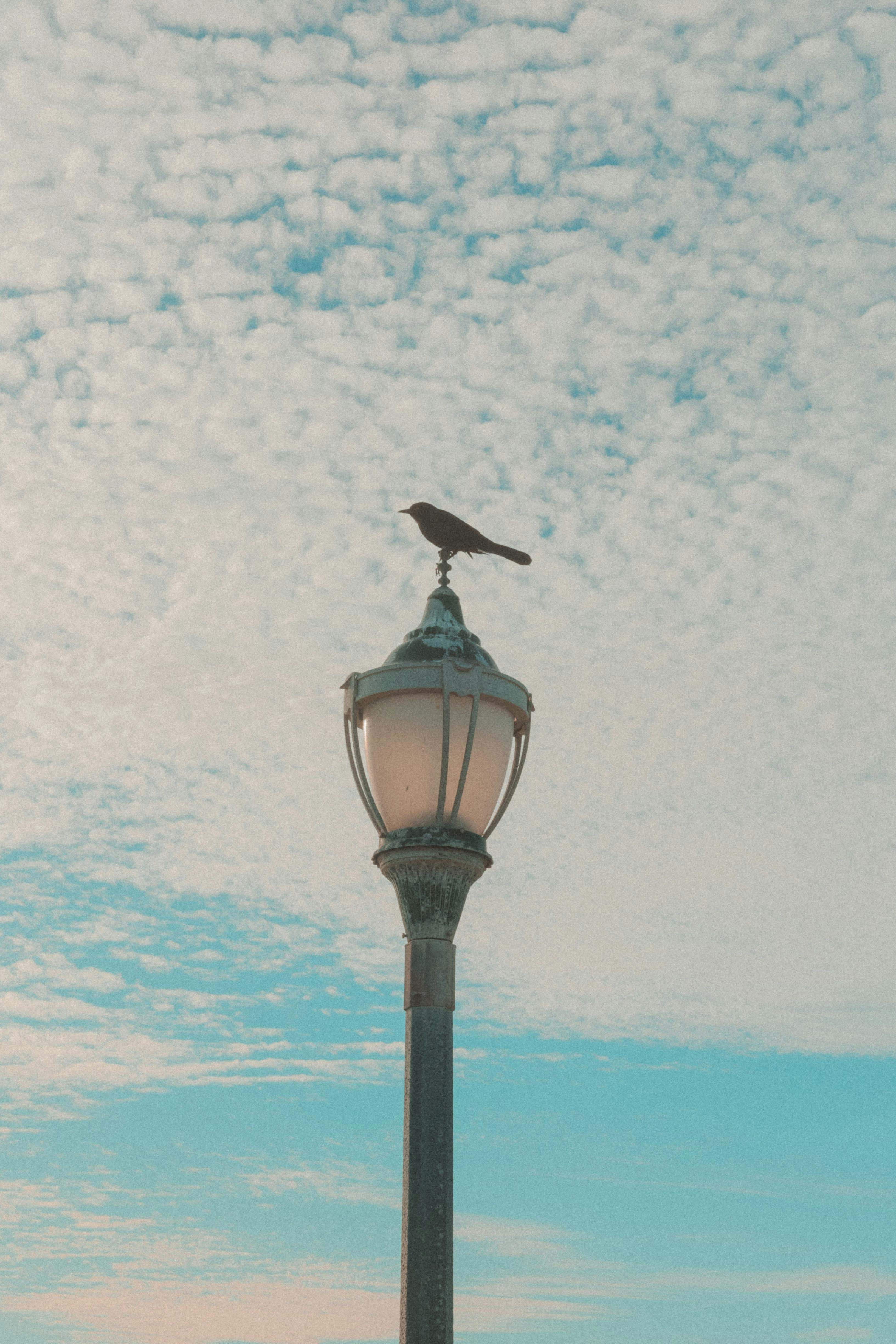 Photo by paralitik