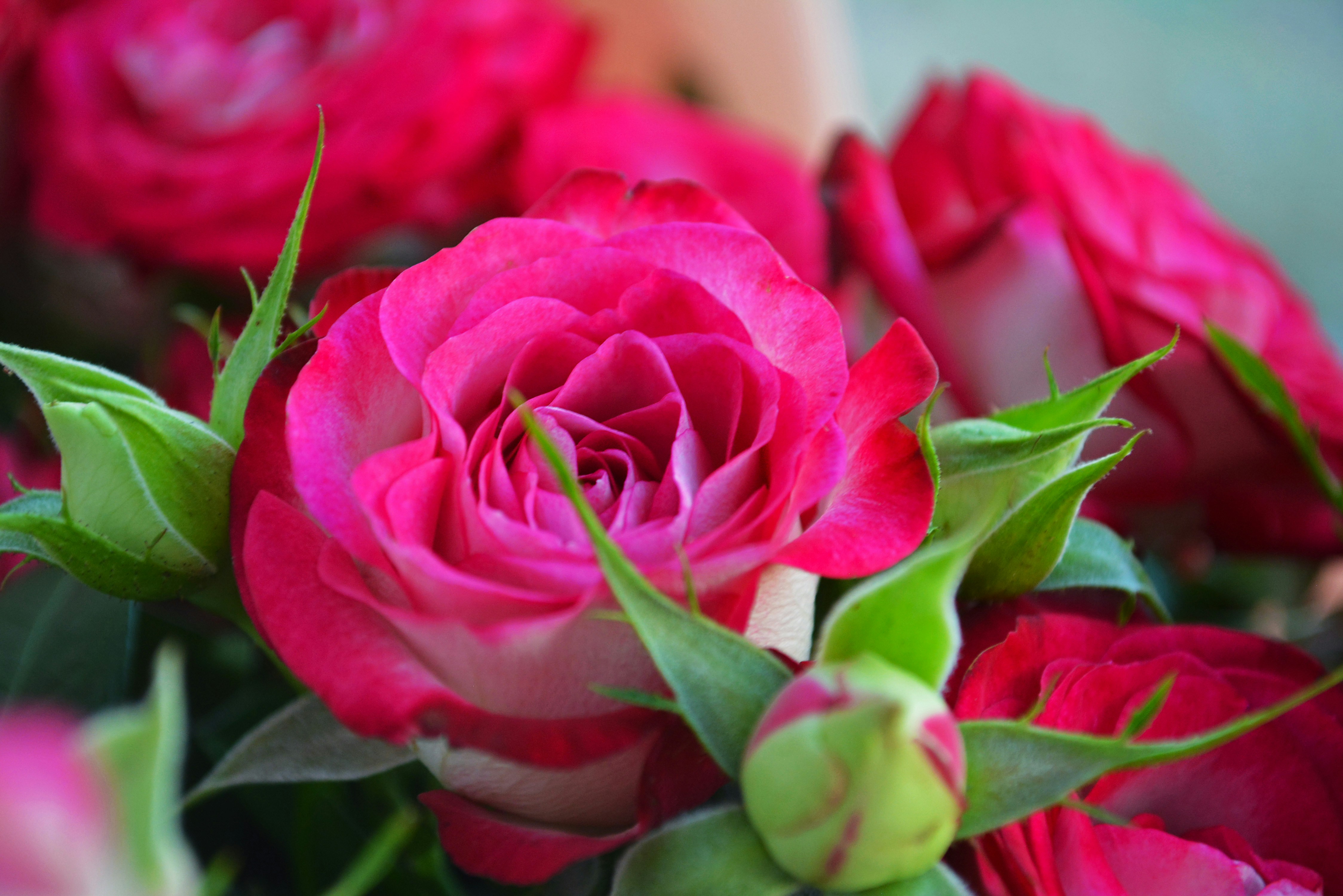 Photo by voskresenska1