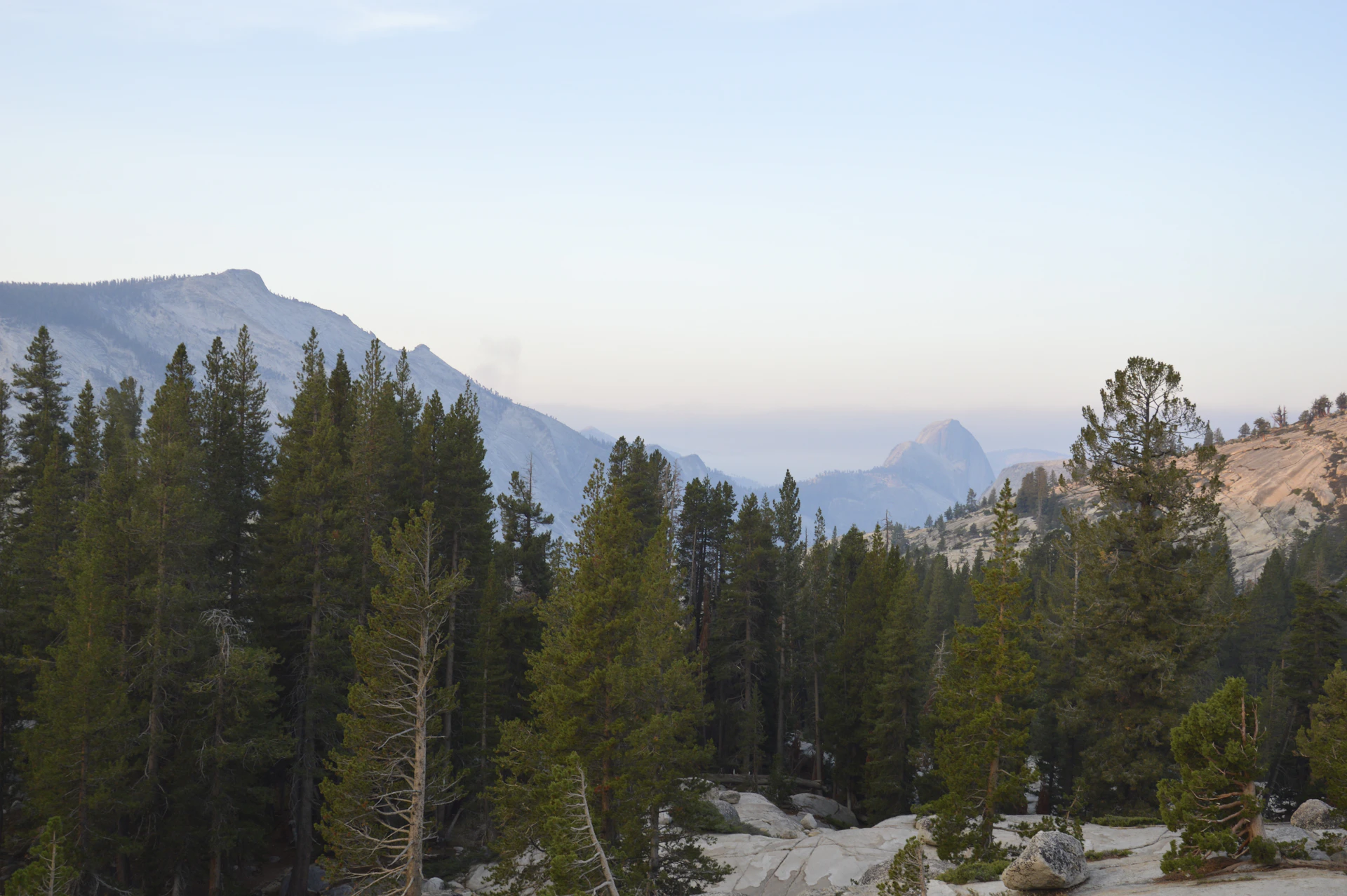 Majestic mountains loom behind a dense forest.