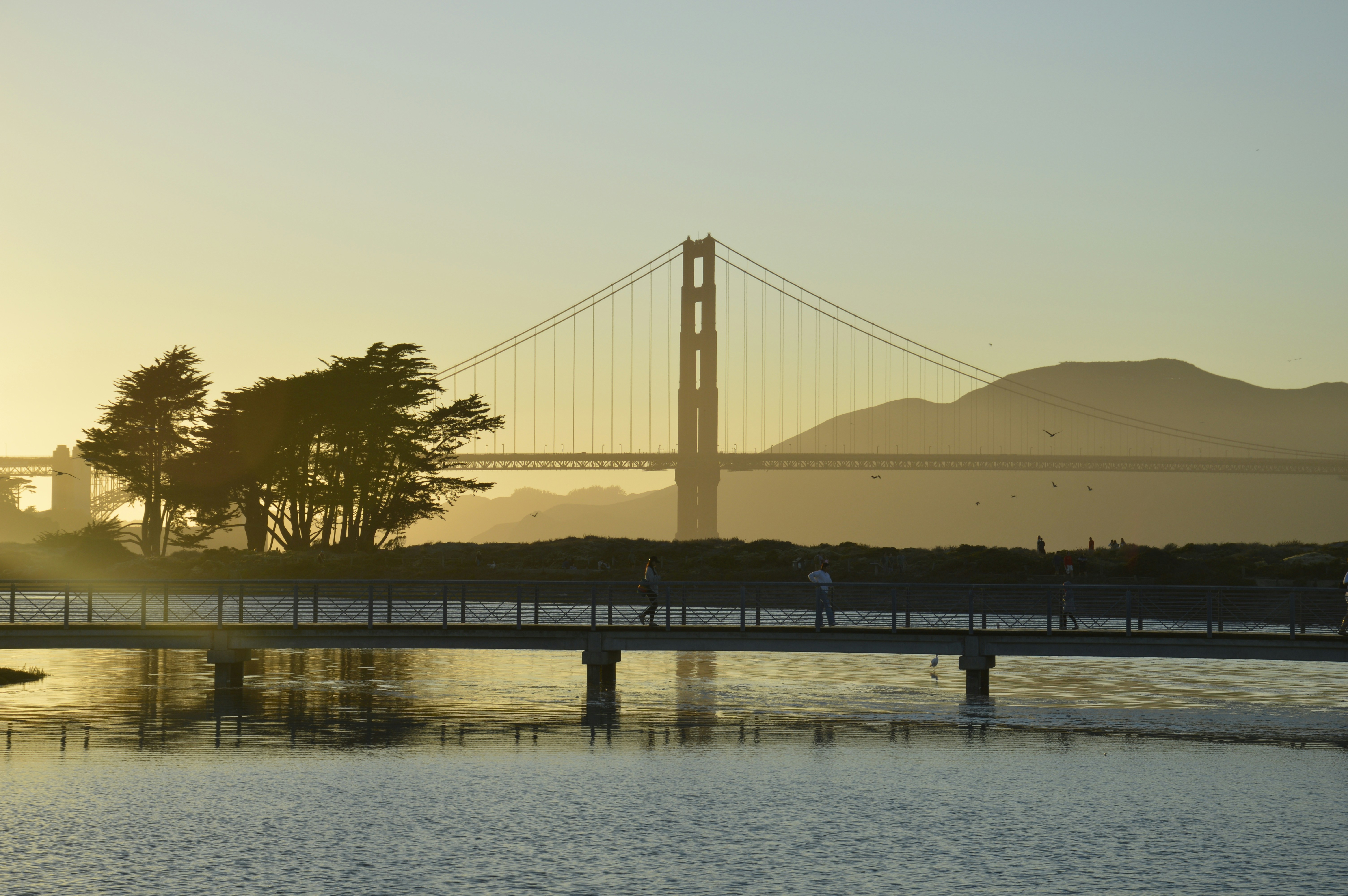 Containers in Presidio, TX