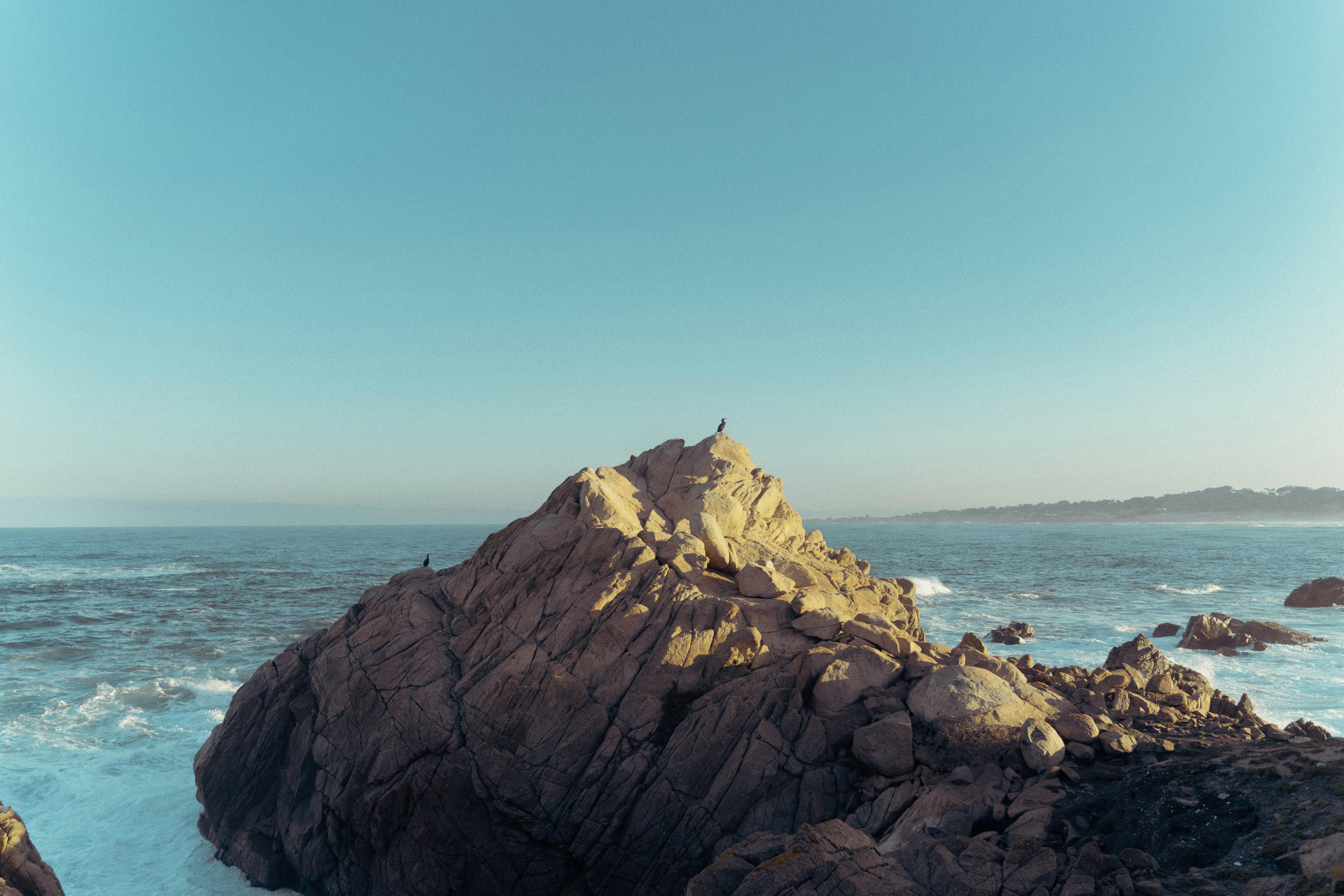 Photo by tarc_maylor