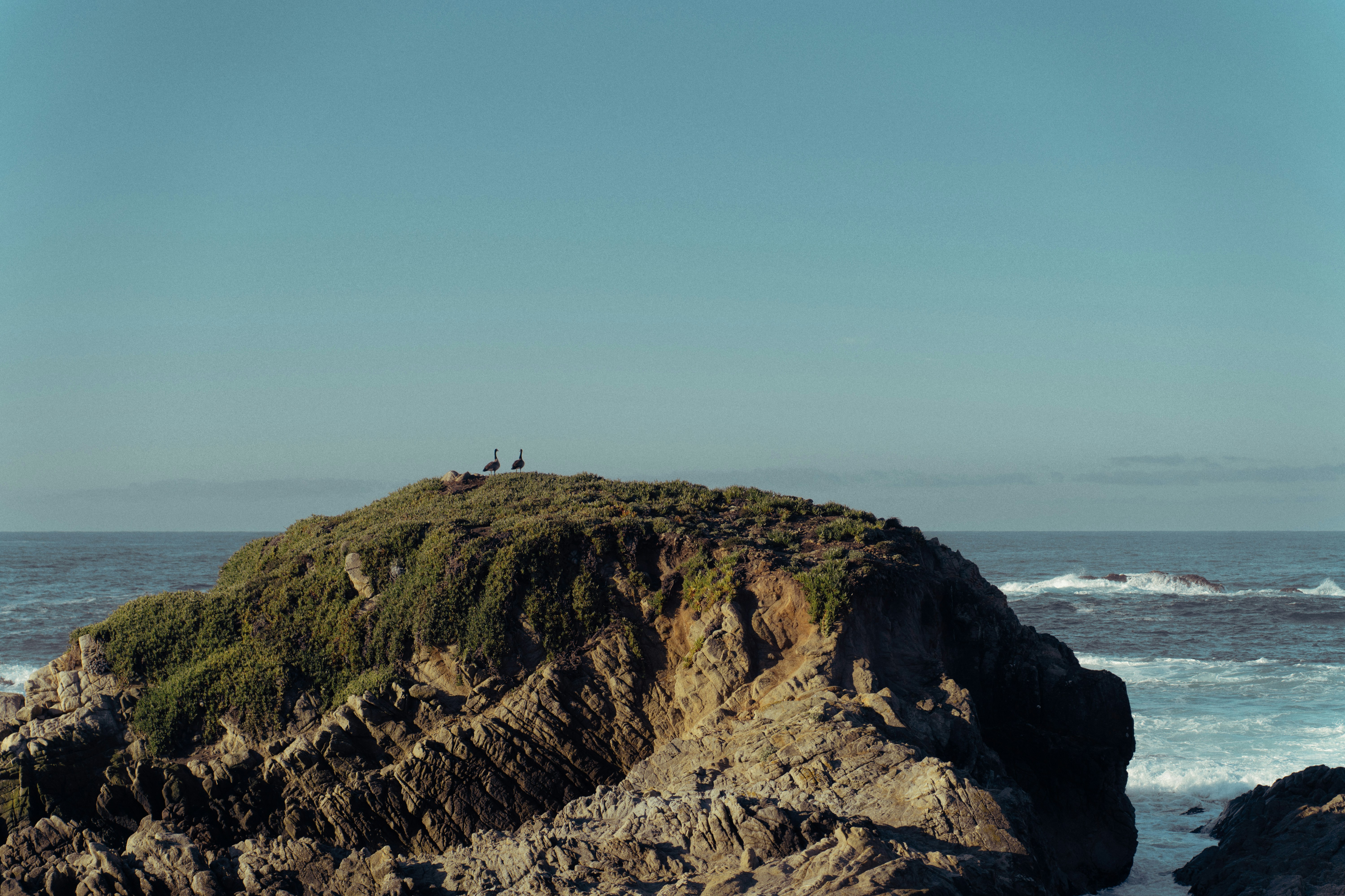 Photo by tarc_maylor