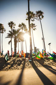 Flags and palm trees on a sunny beach.