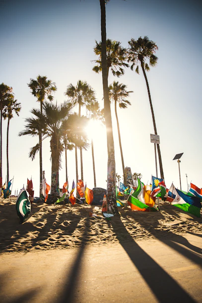 Flags and palm trees on a sunny beach.