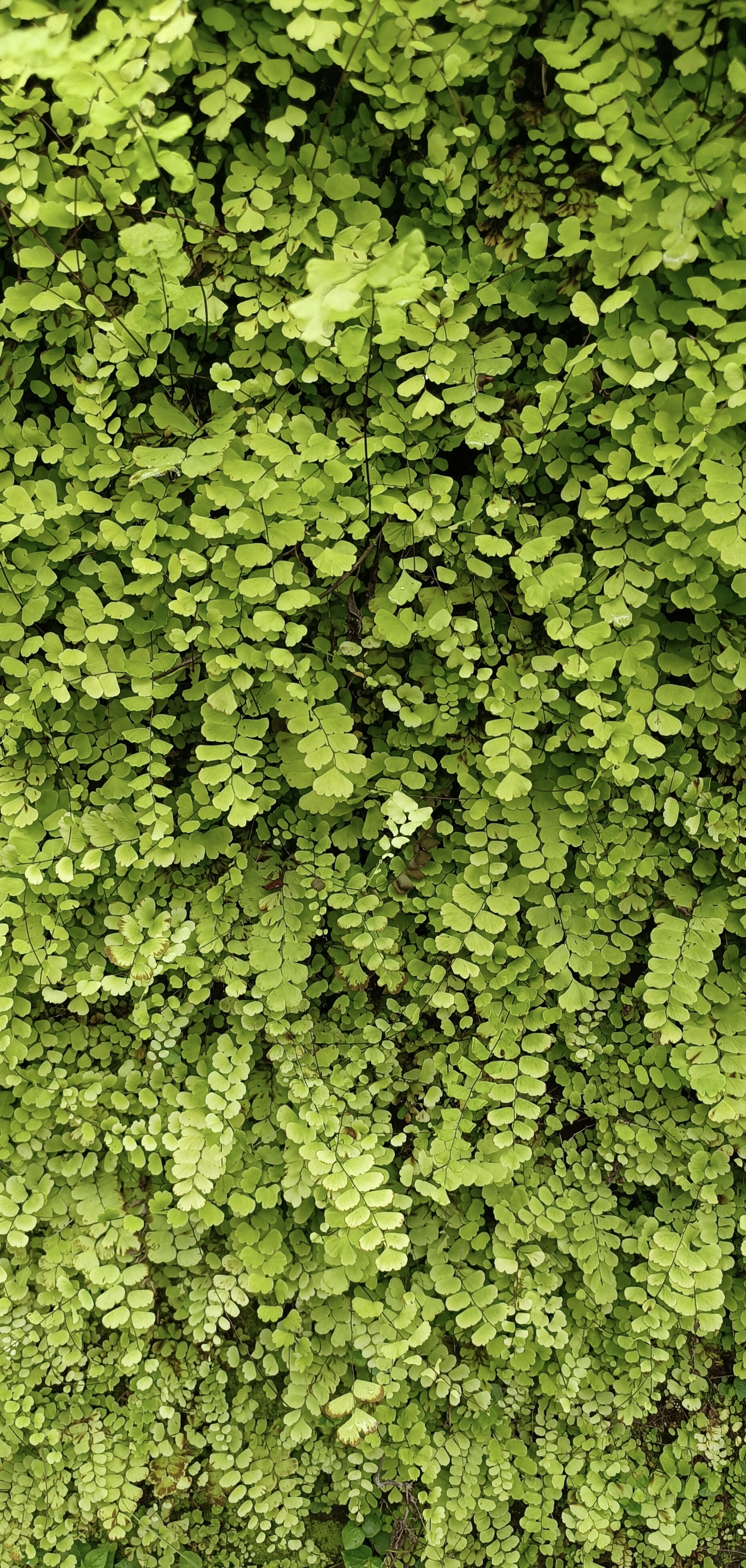 Photo by shahee_hashi