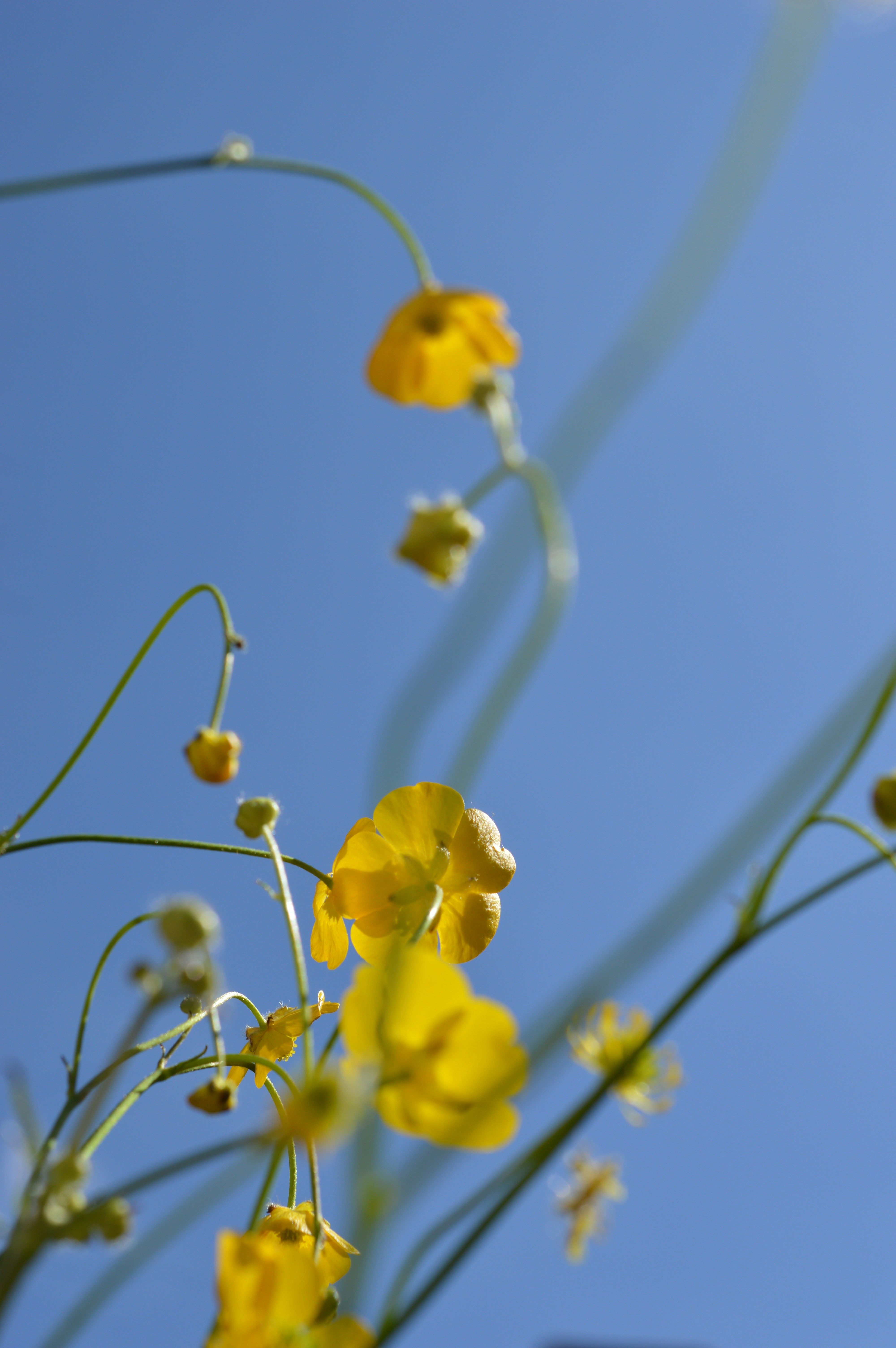 Photo by scandispirit