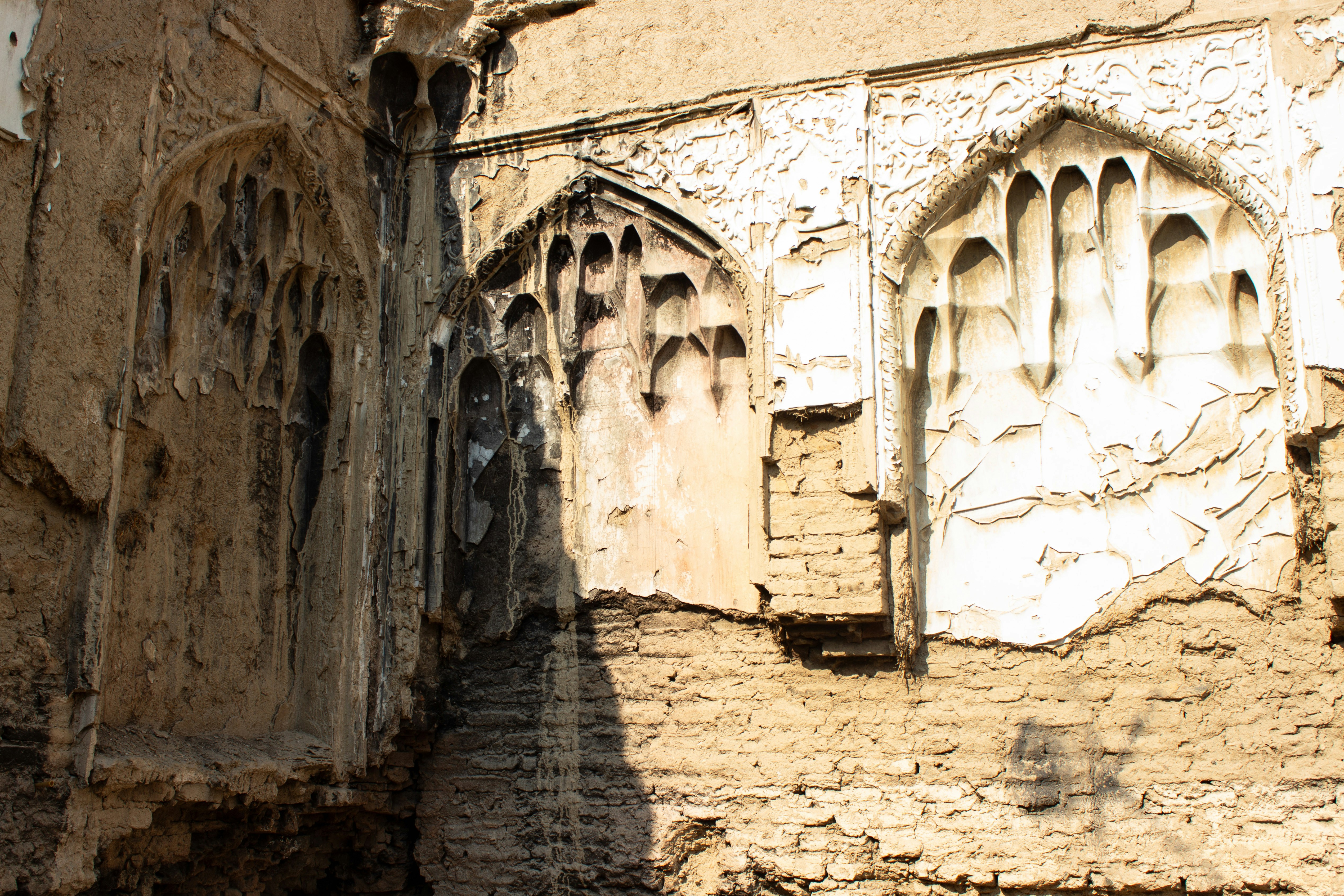 Photo by elham_frame