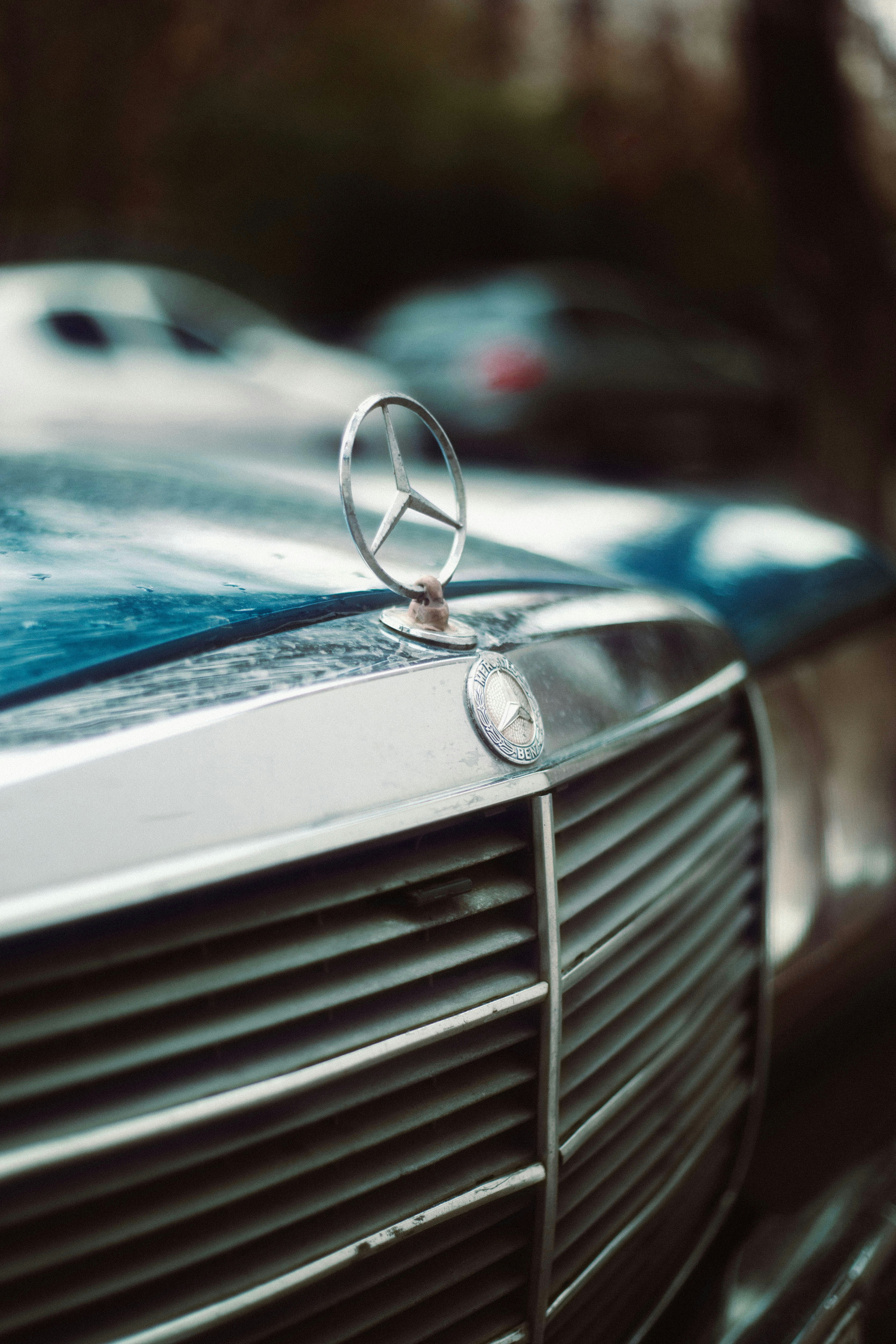 Photo by mrcharkhgard