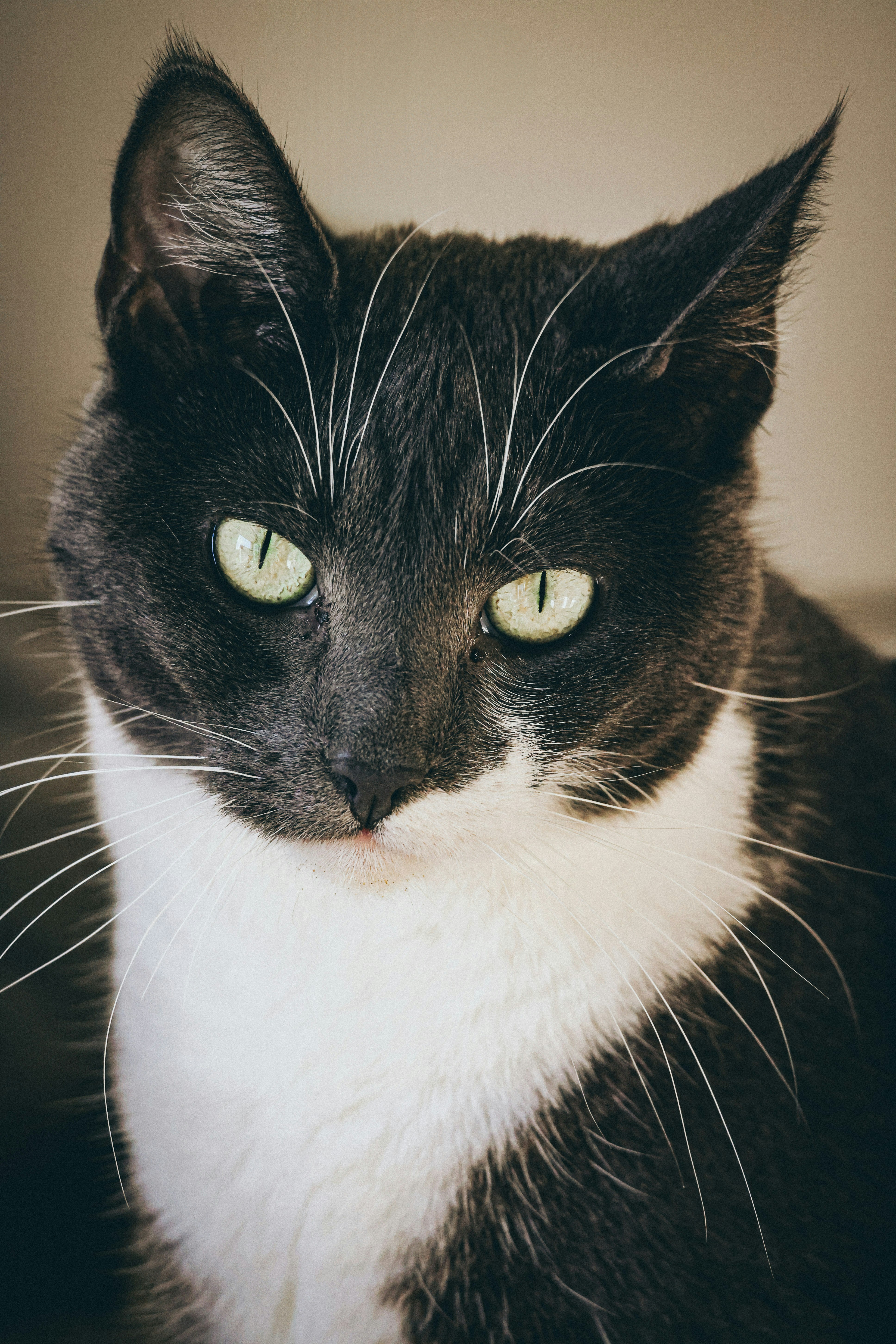 Photo by nickkarvounis