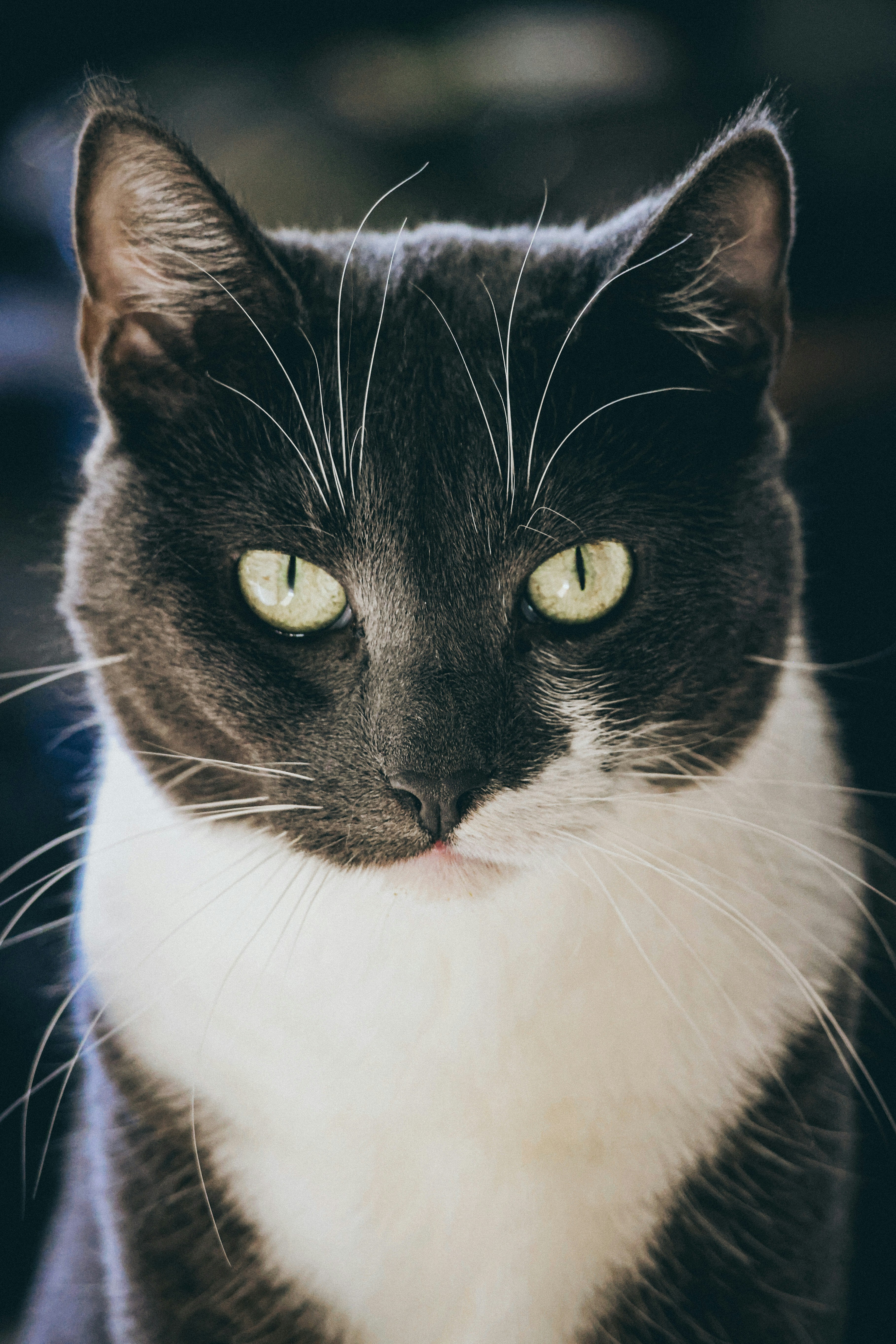 Photo by nickkarvounis