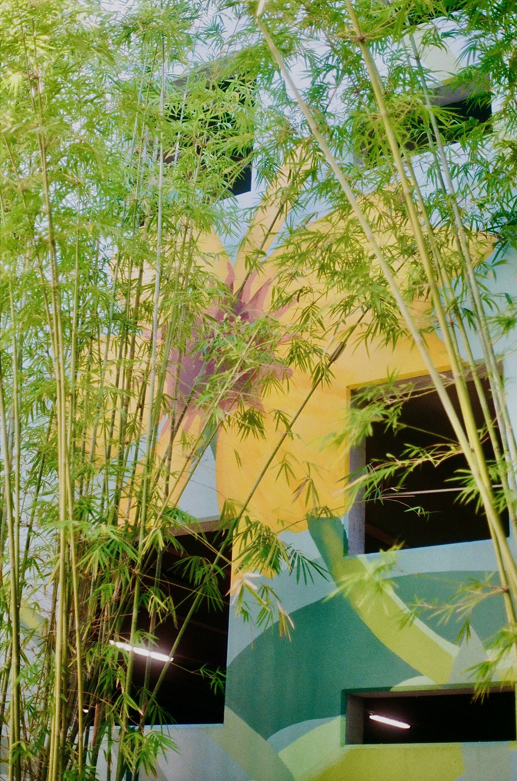 Bamboo obscures a wall painted with a flower mural.