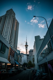 Auckland's sky tower amidst city buildings.