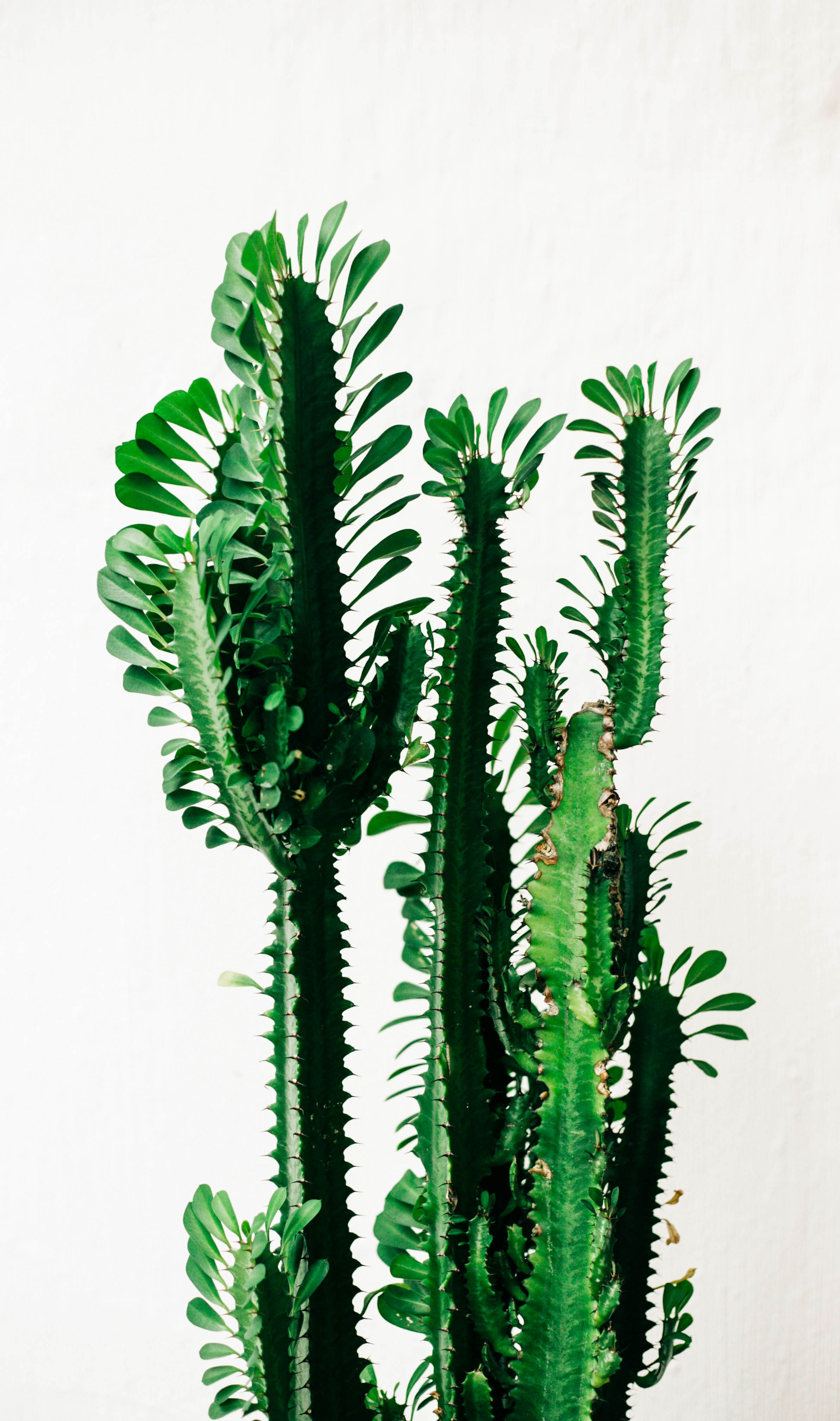 Photo by andersonlumo