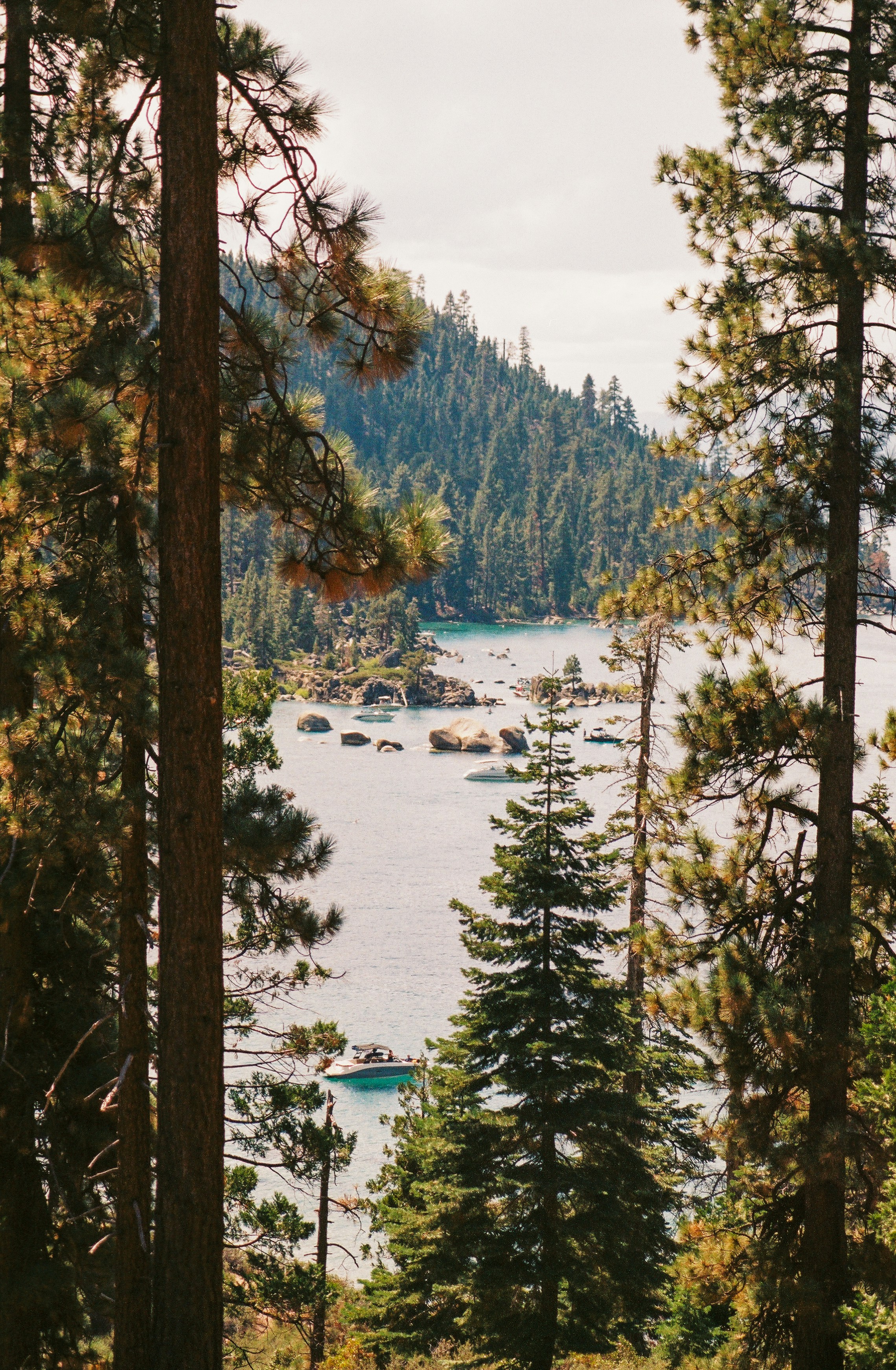 Photo by hiddenbubbles
