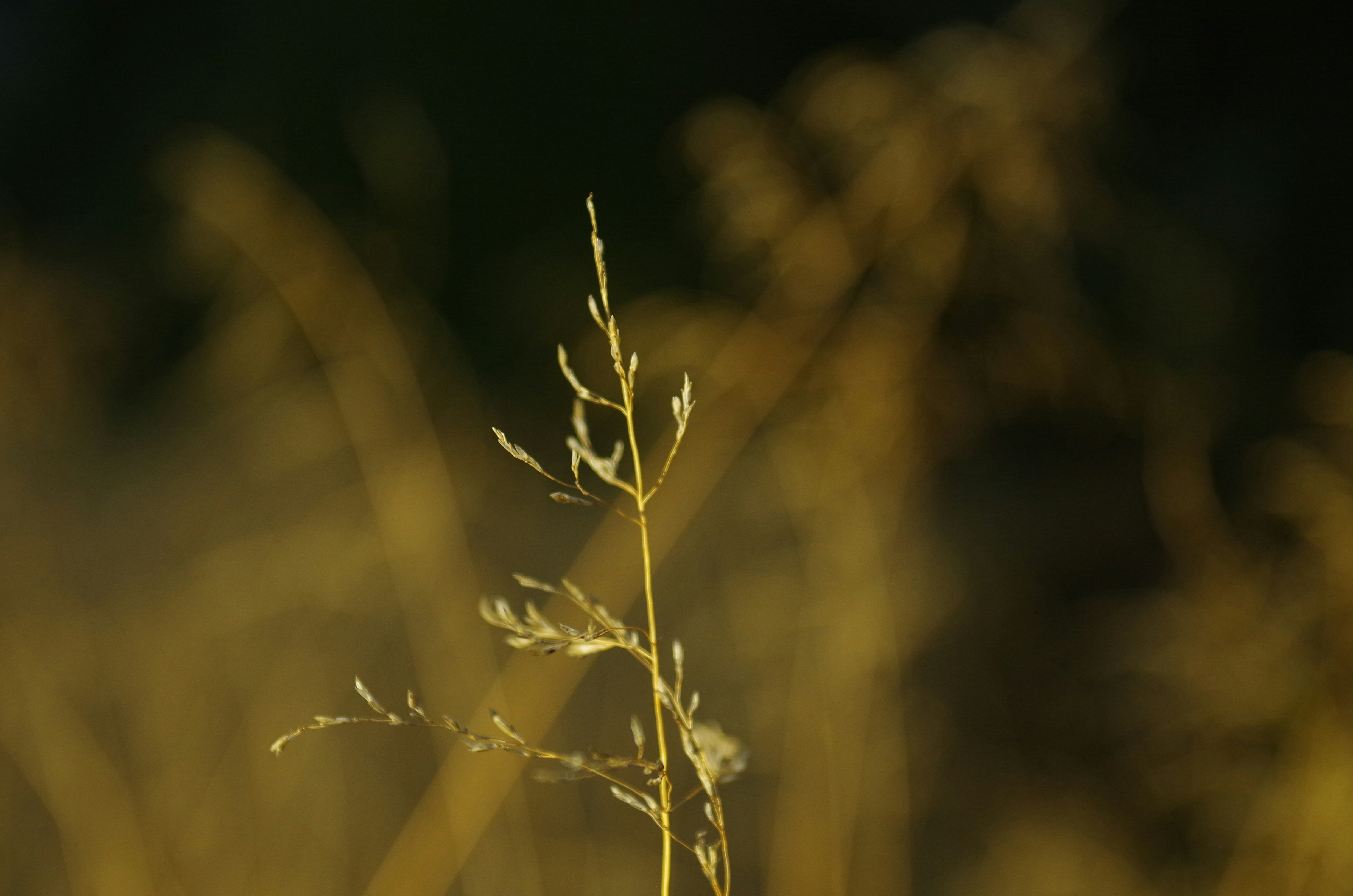 Photo by photoken123