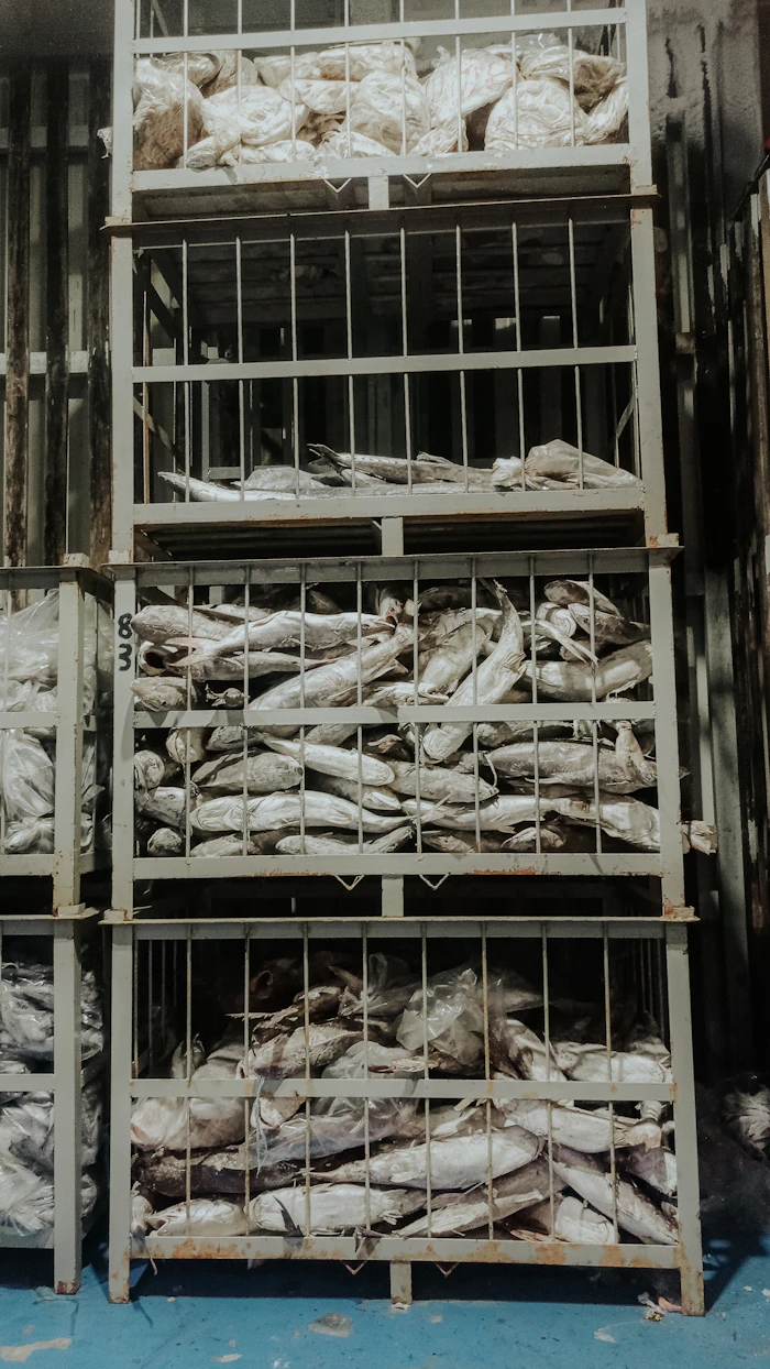 Cold Chain Logistics operations