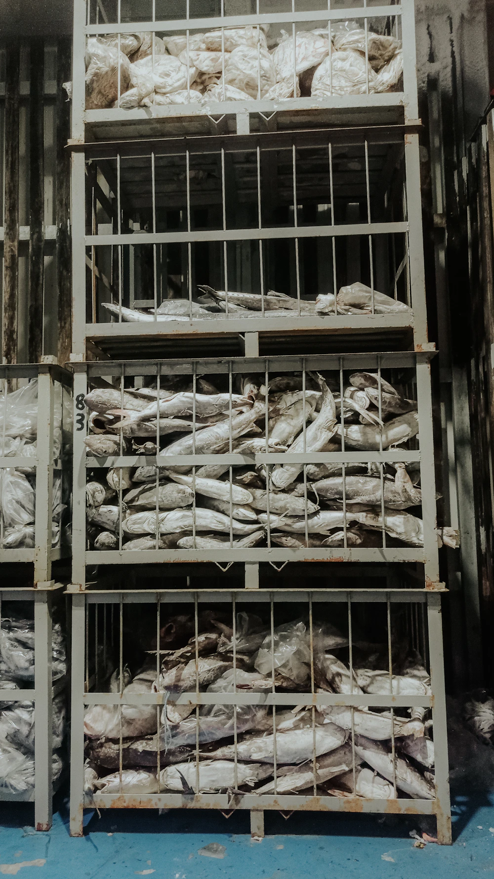 Frozen fish stacked in metal cold-storage containers