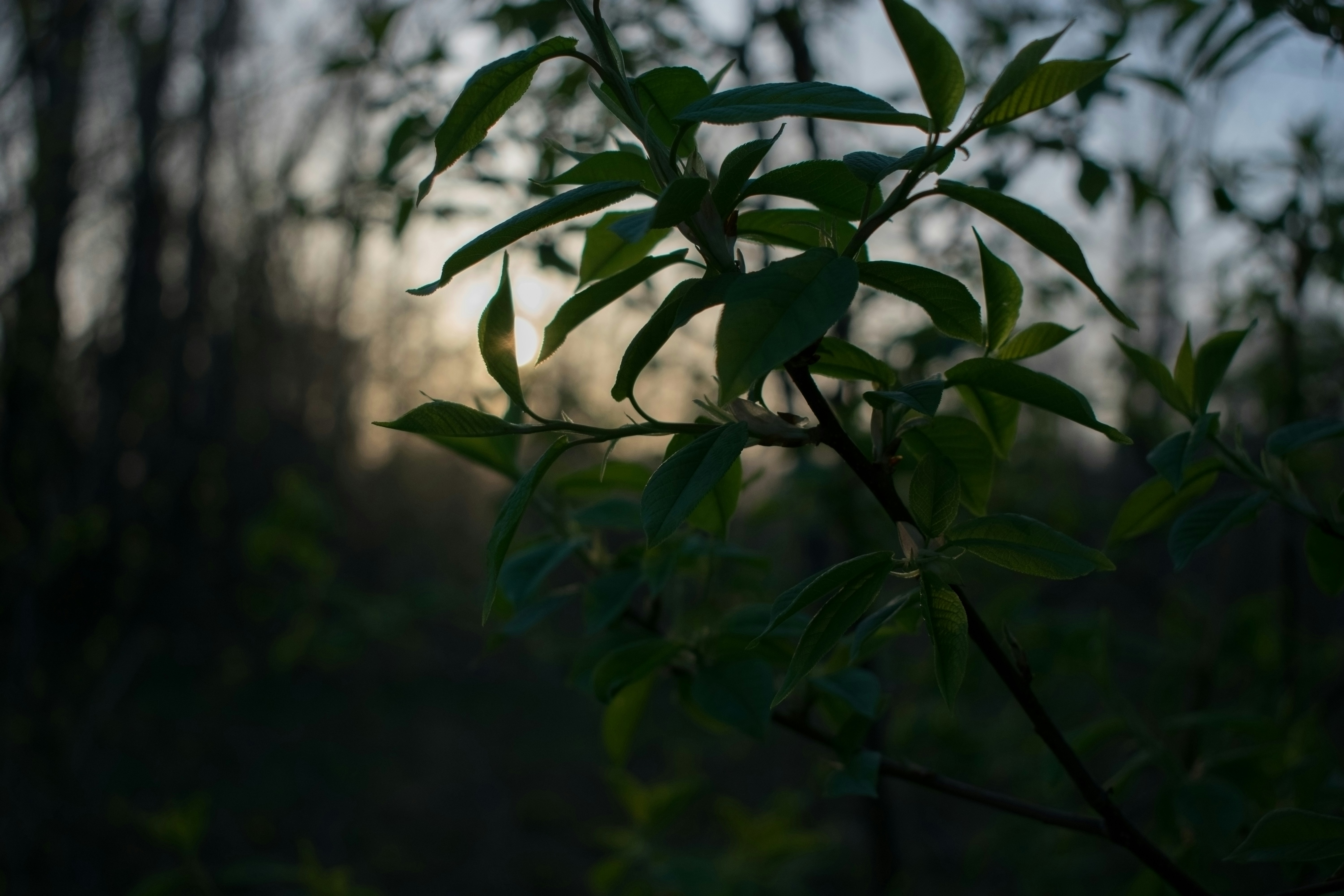 Photo by dimawinterson