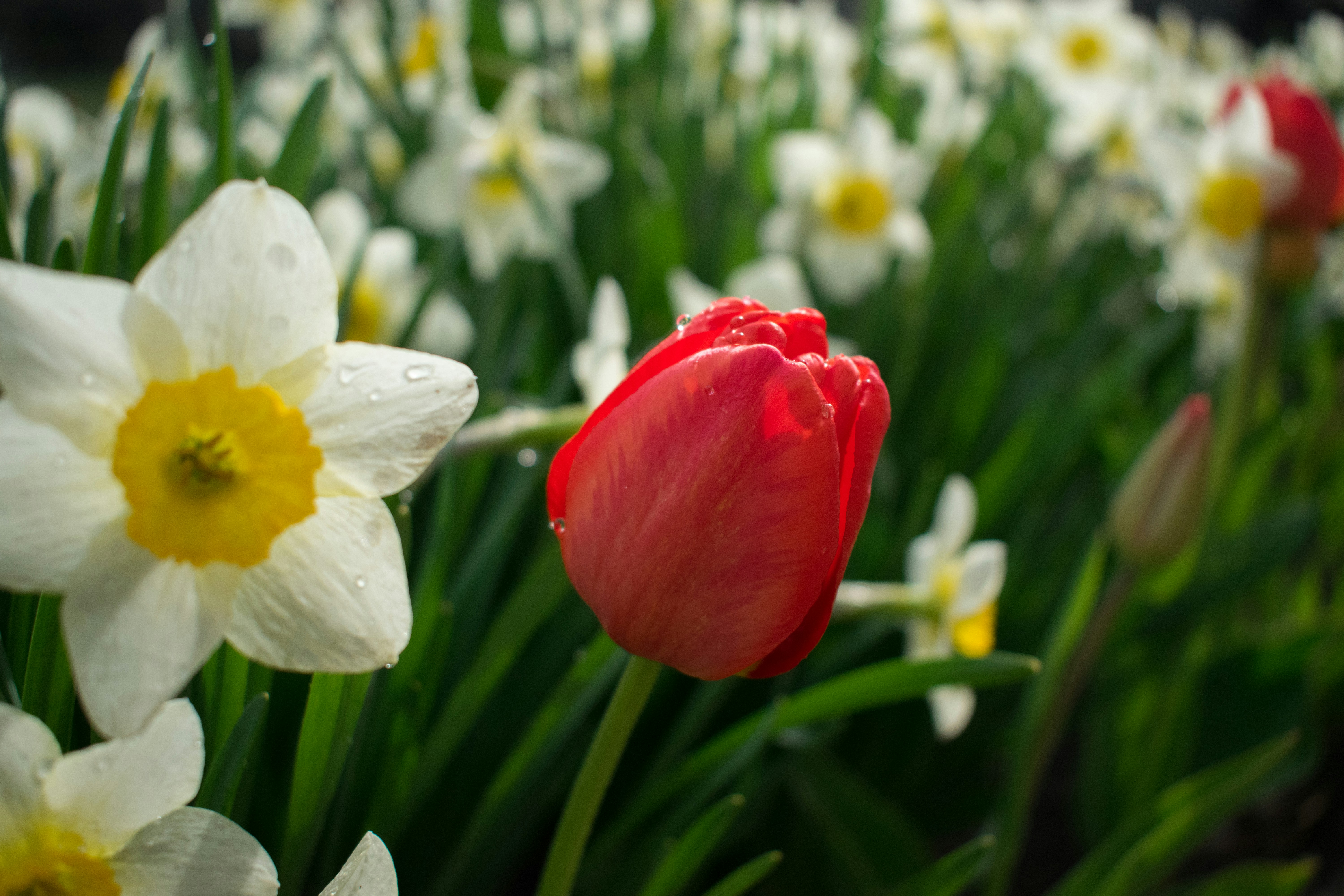 Photo by dimawinterson