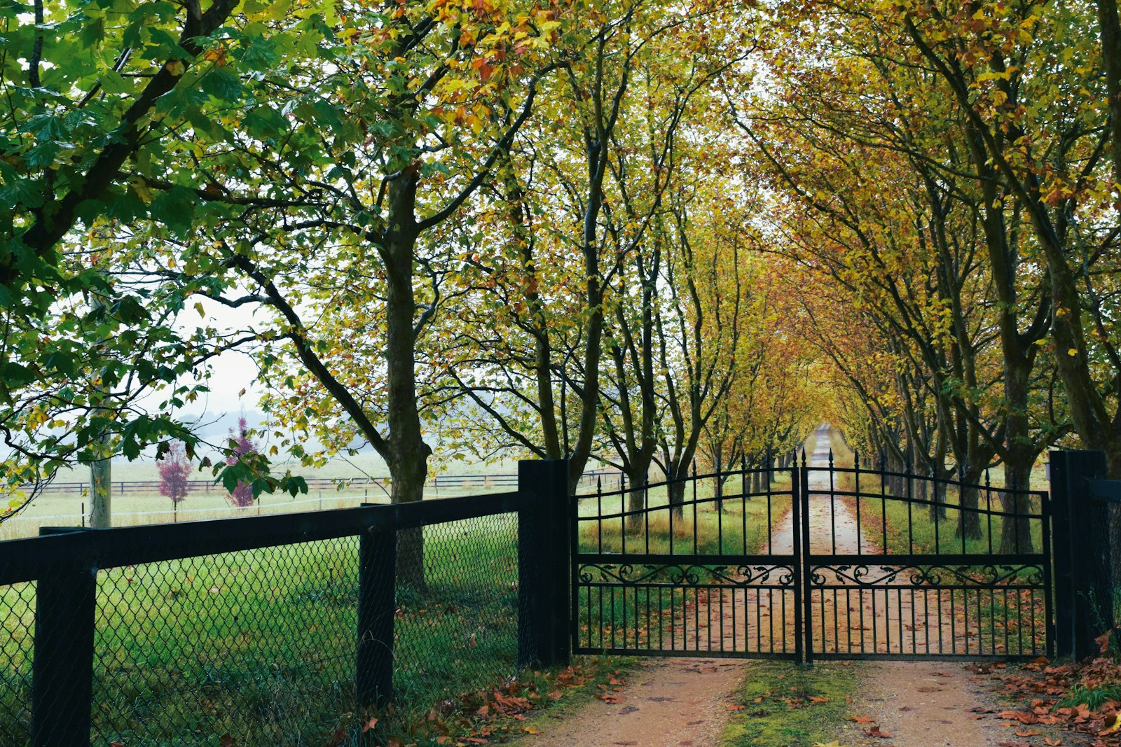 Cedar-clad automated driveway gate