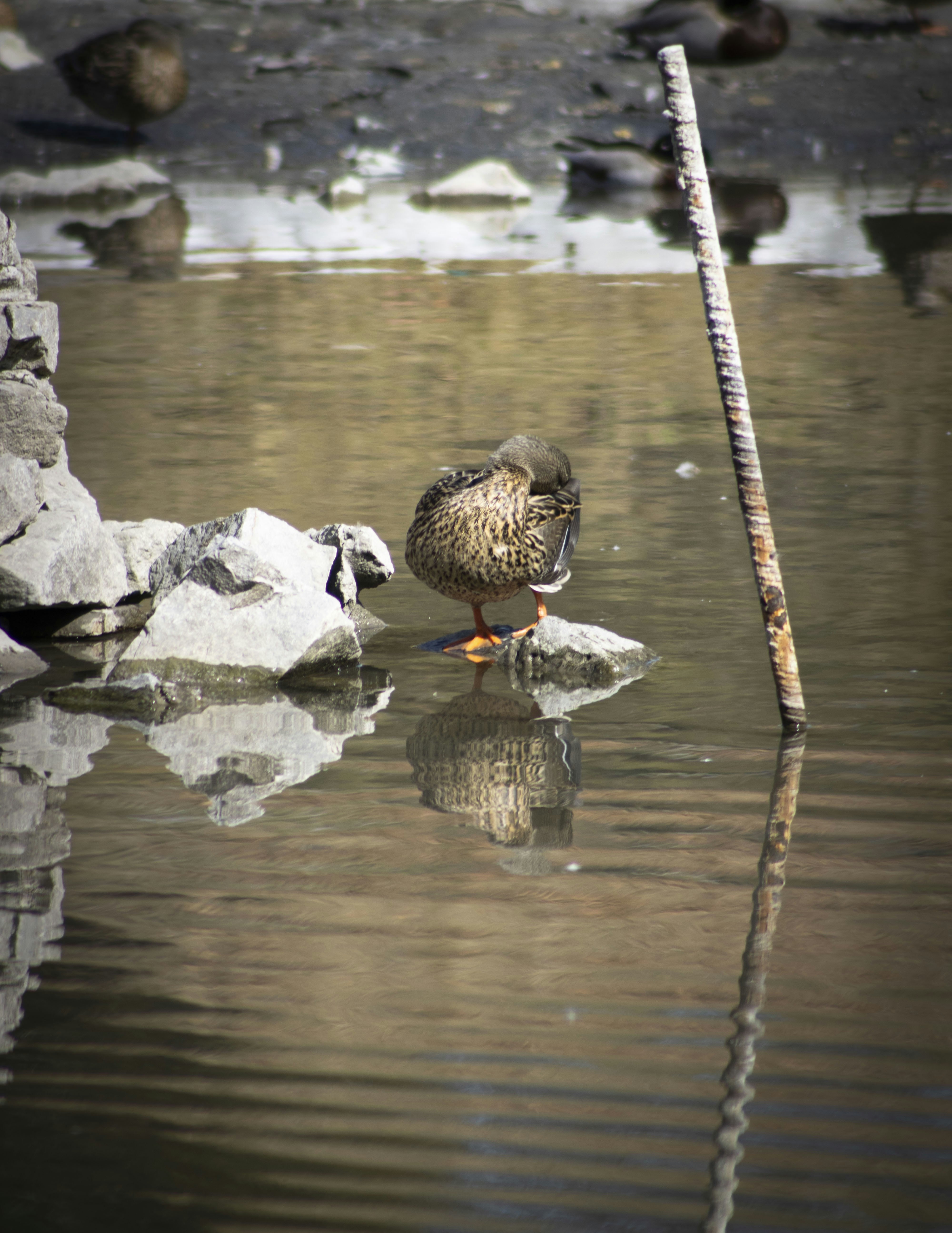 Photo by ivan_aviles