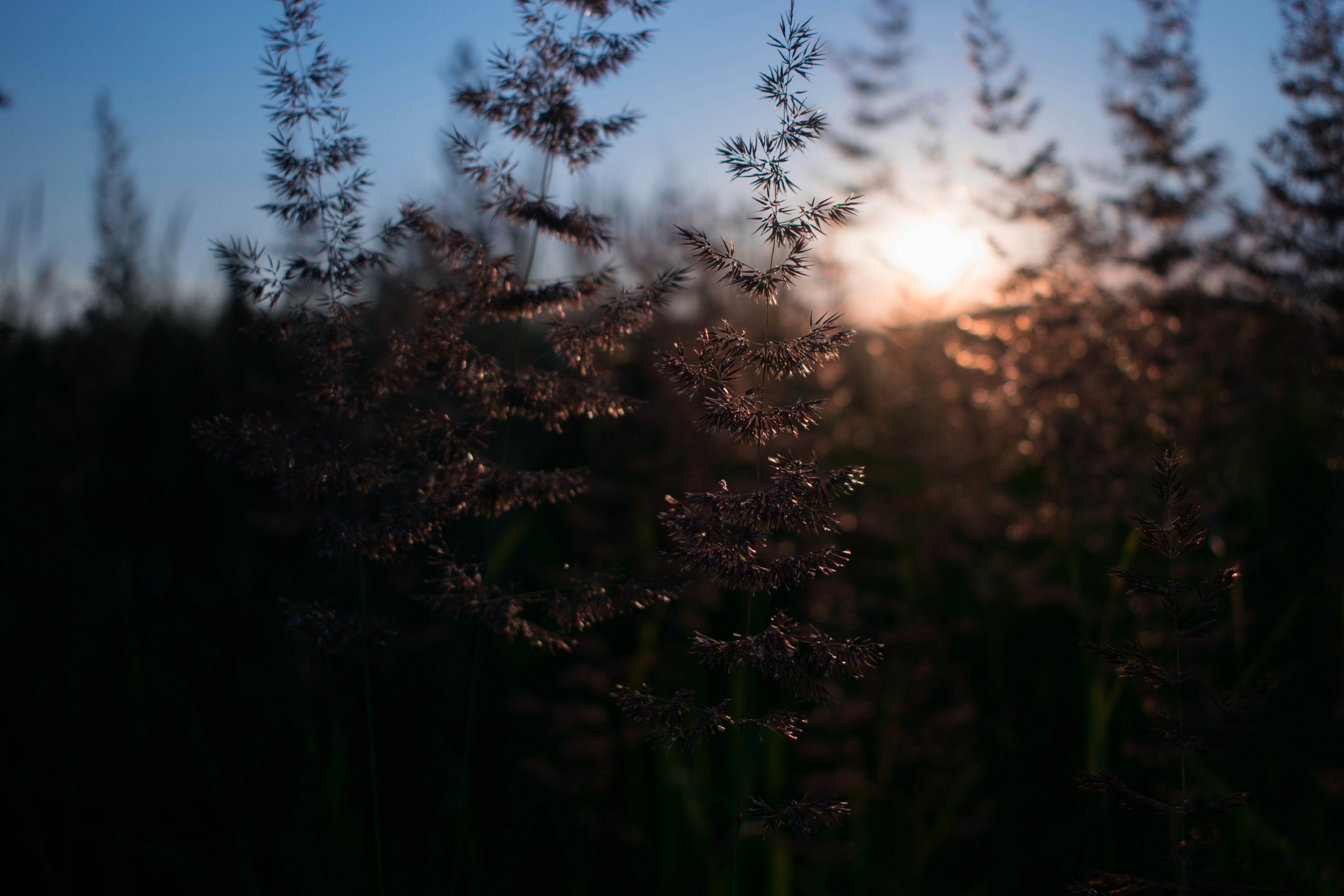 Photo by dimawinterson