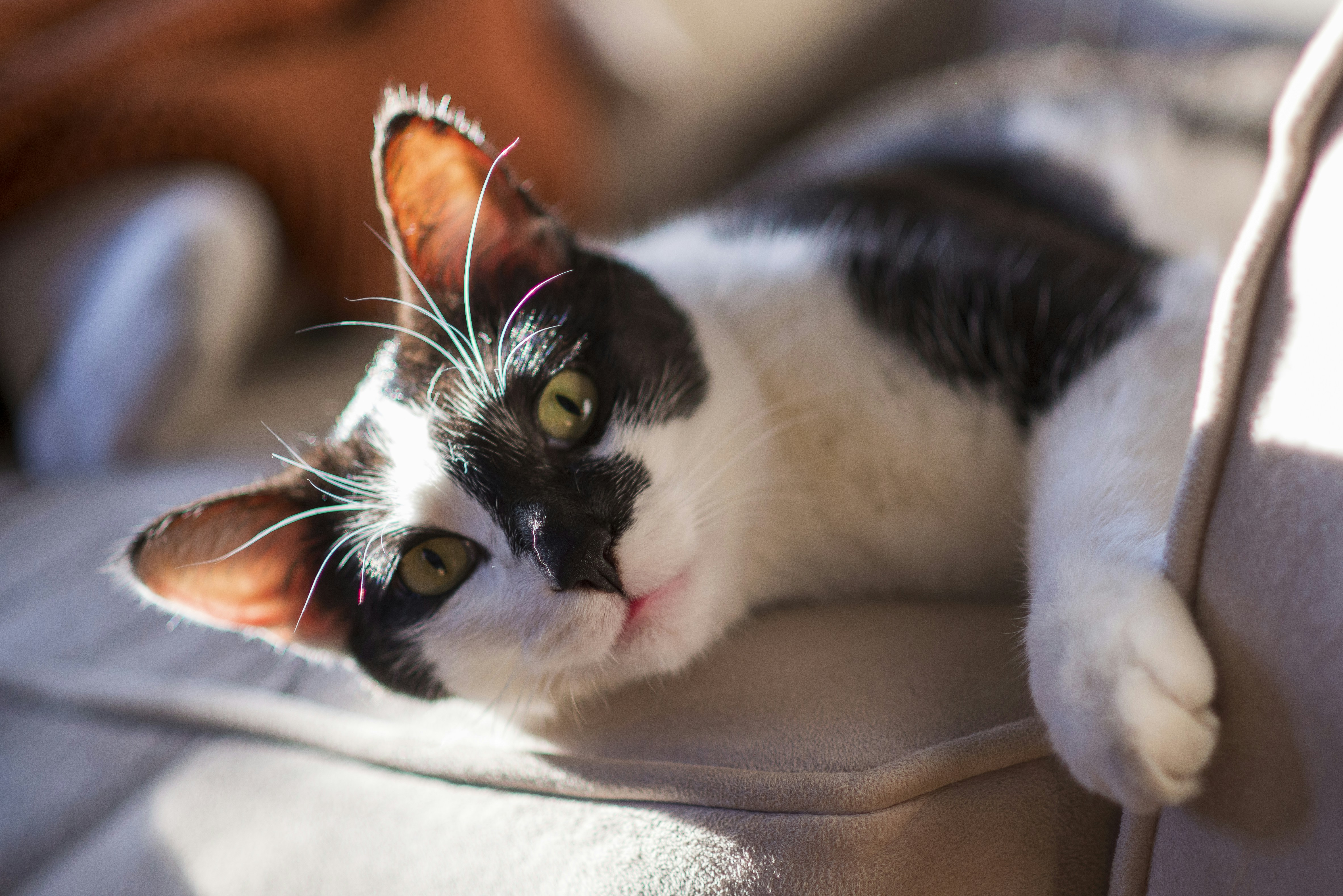 Photo by itwasmattgregg