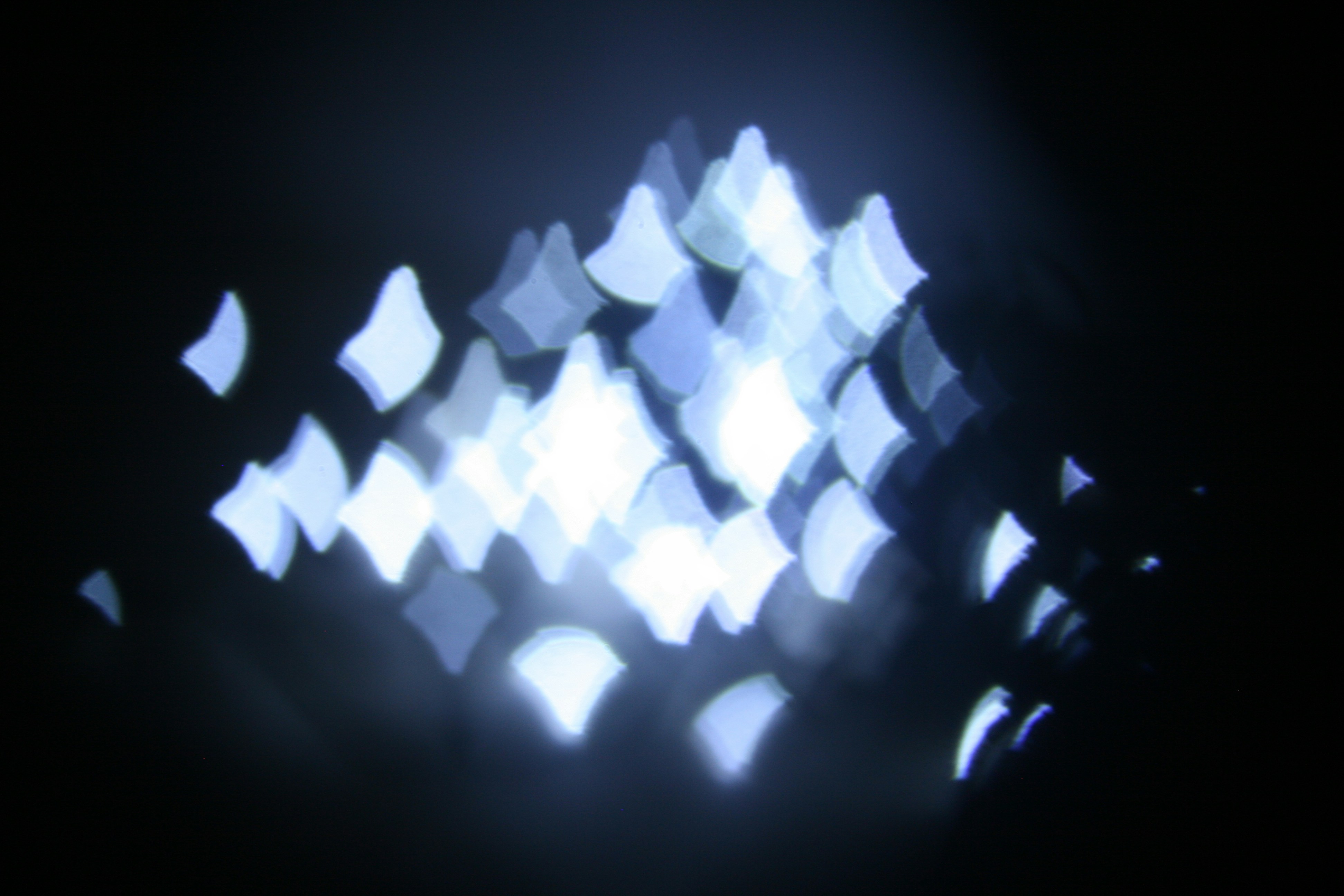 Photo by insert_username_here__