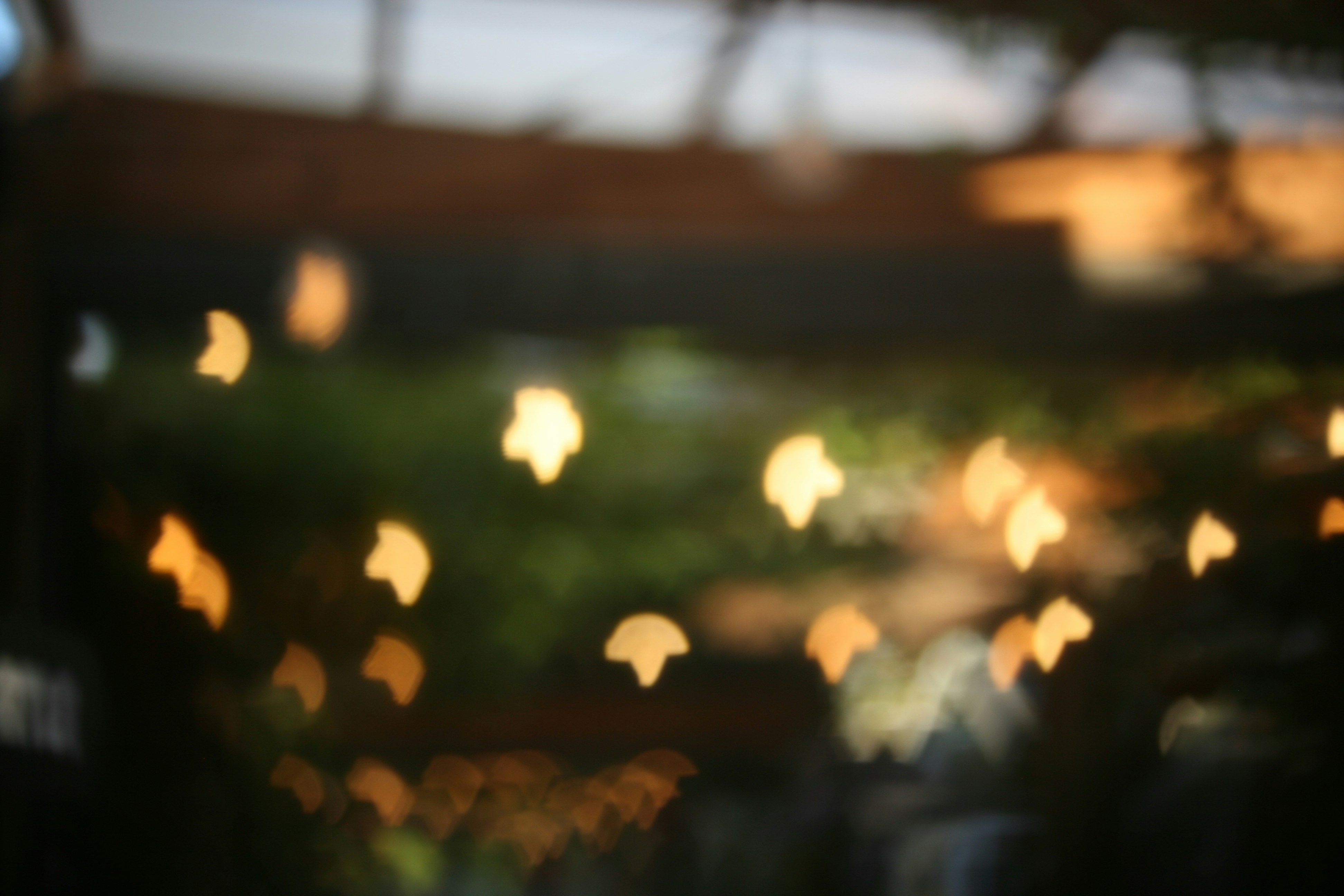 Photo by insert_username_here__