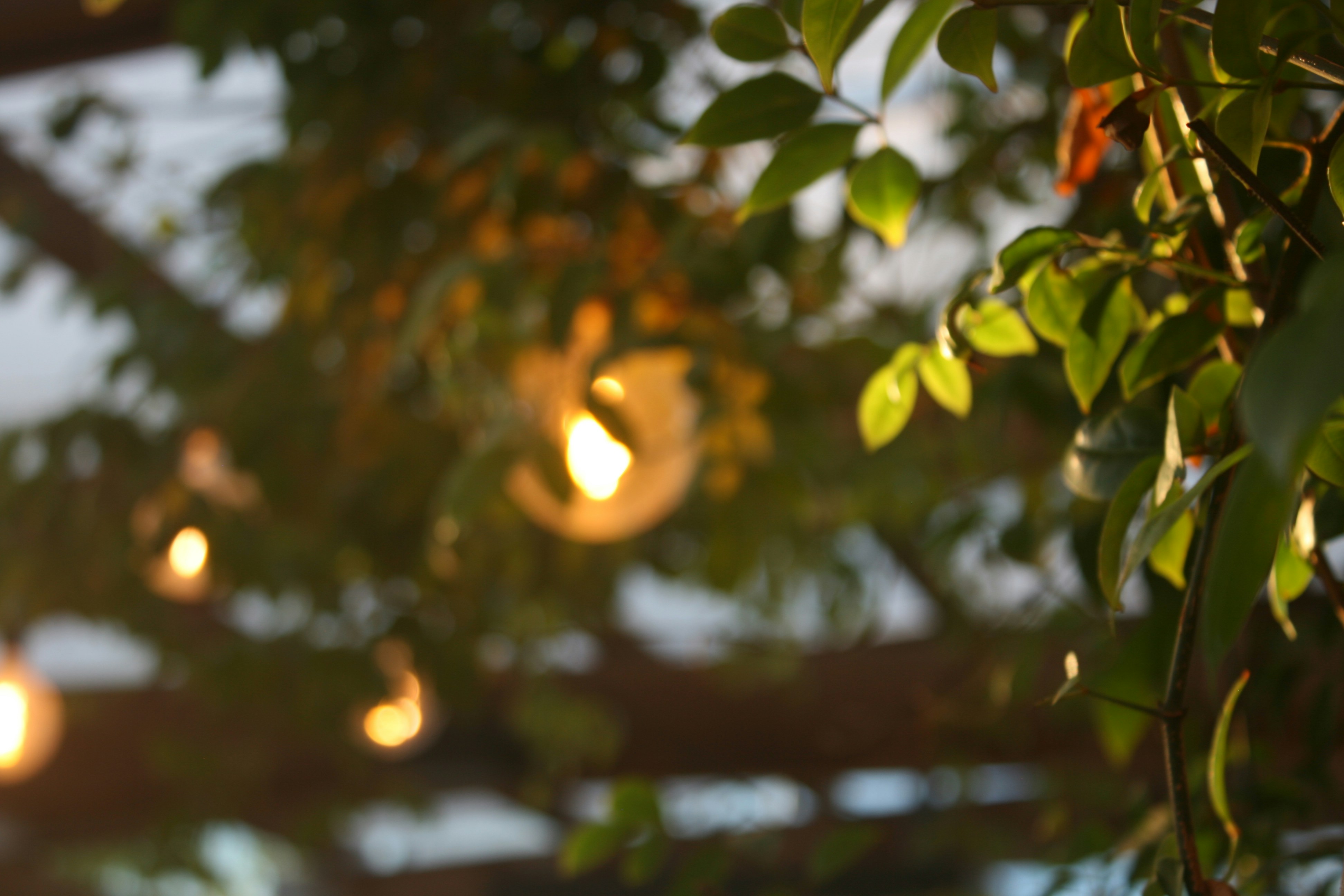 Photo by insert_username_here__