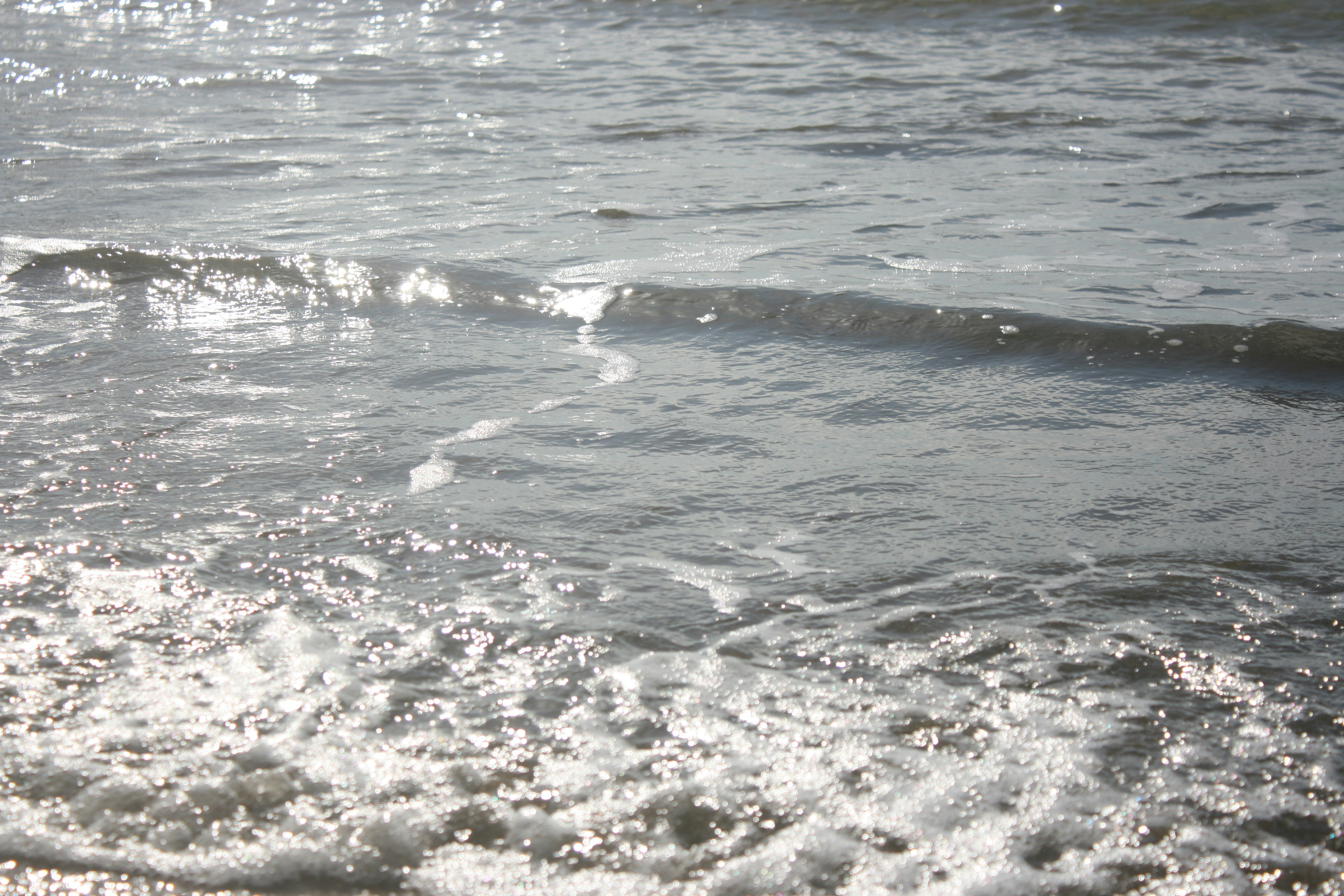 Photo by insert_username_here__