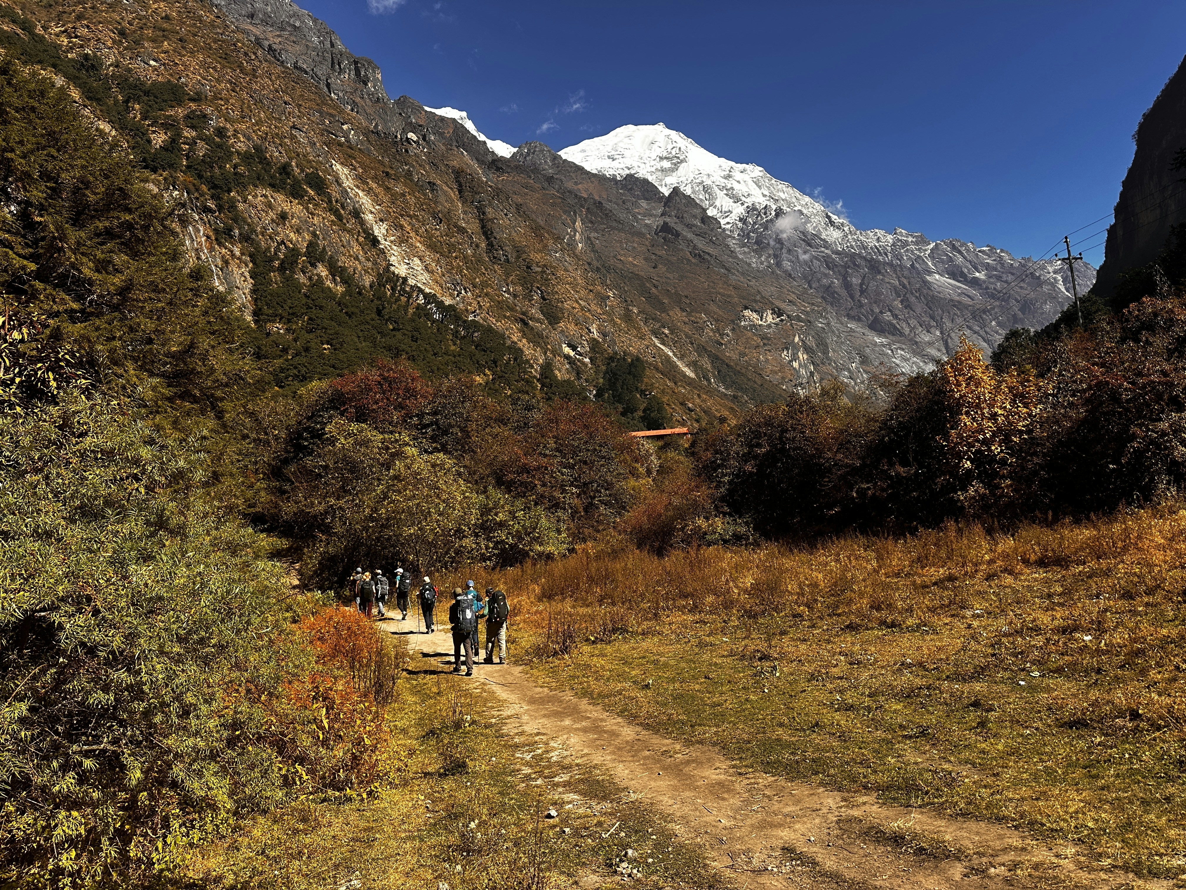 Trekking in Langtang - a beautiful scene captured