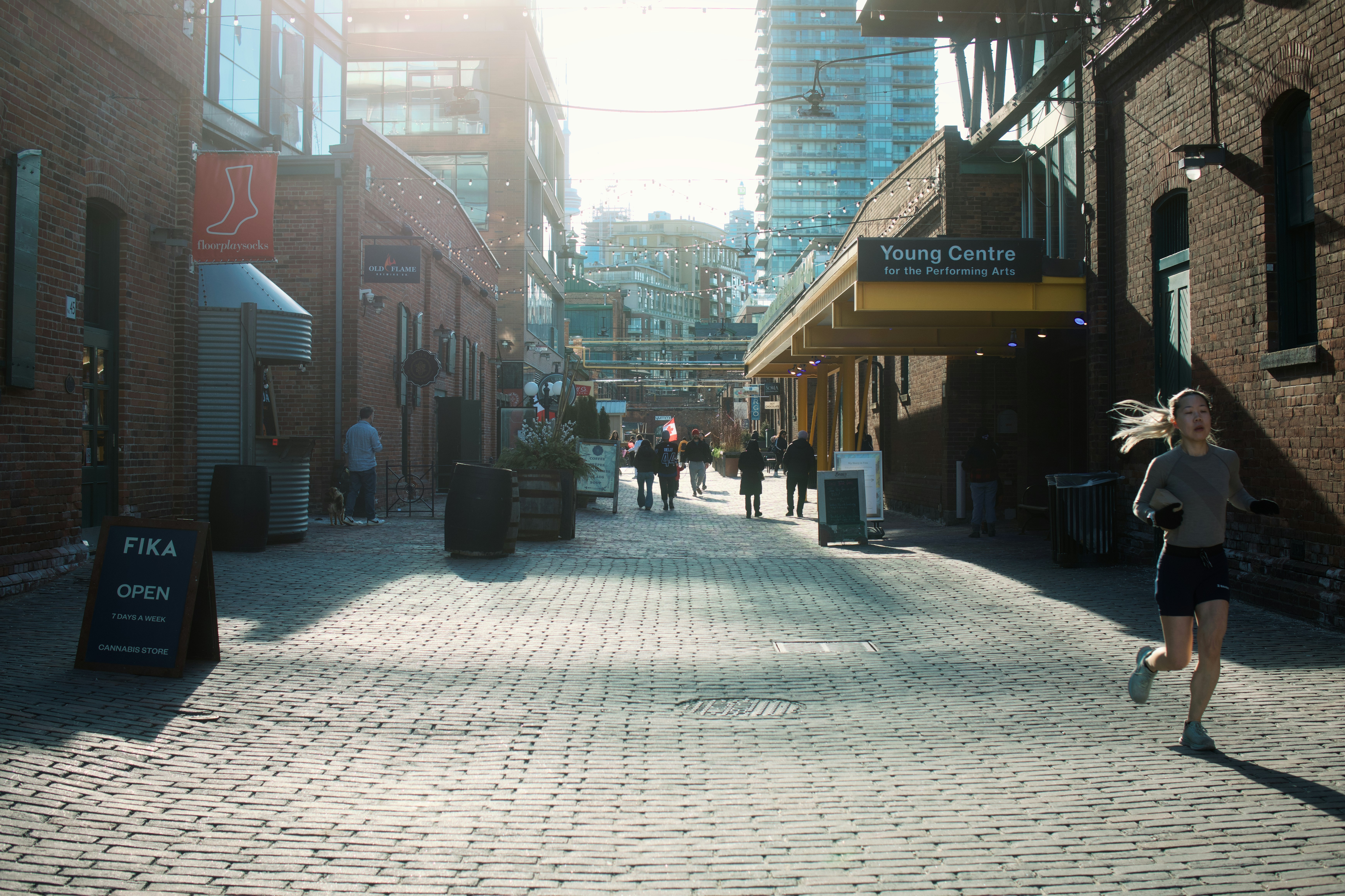 Photo by swollfadder