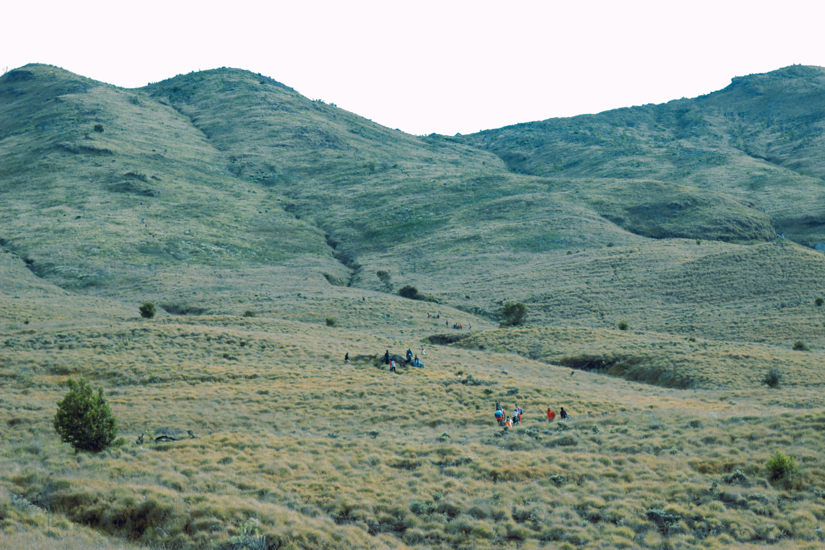 Photo by majulancar_projek