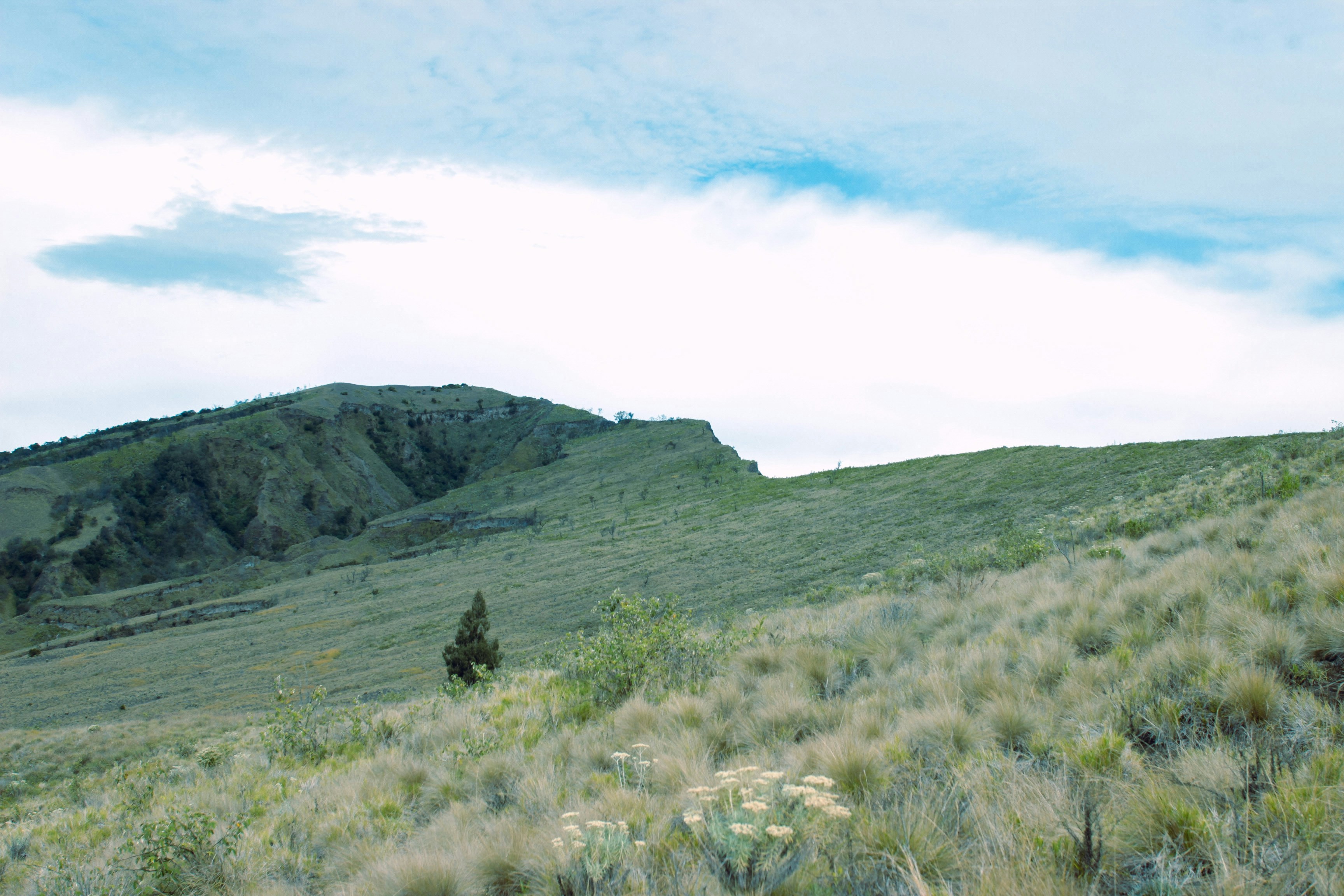 Photo by majulancar_projek