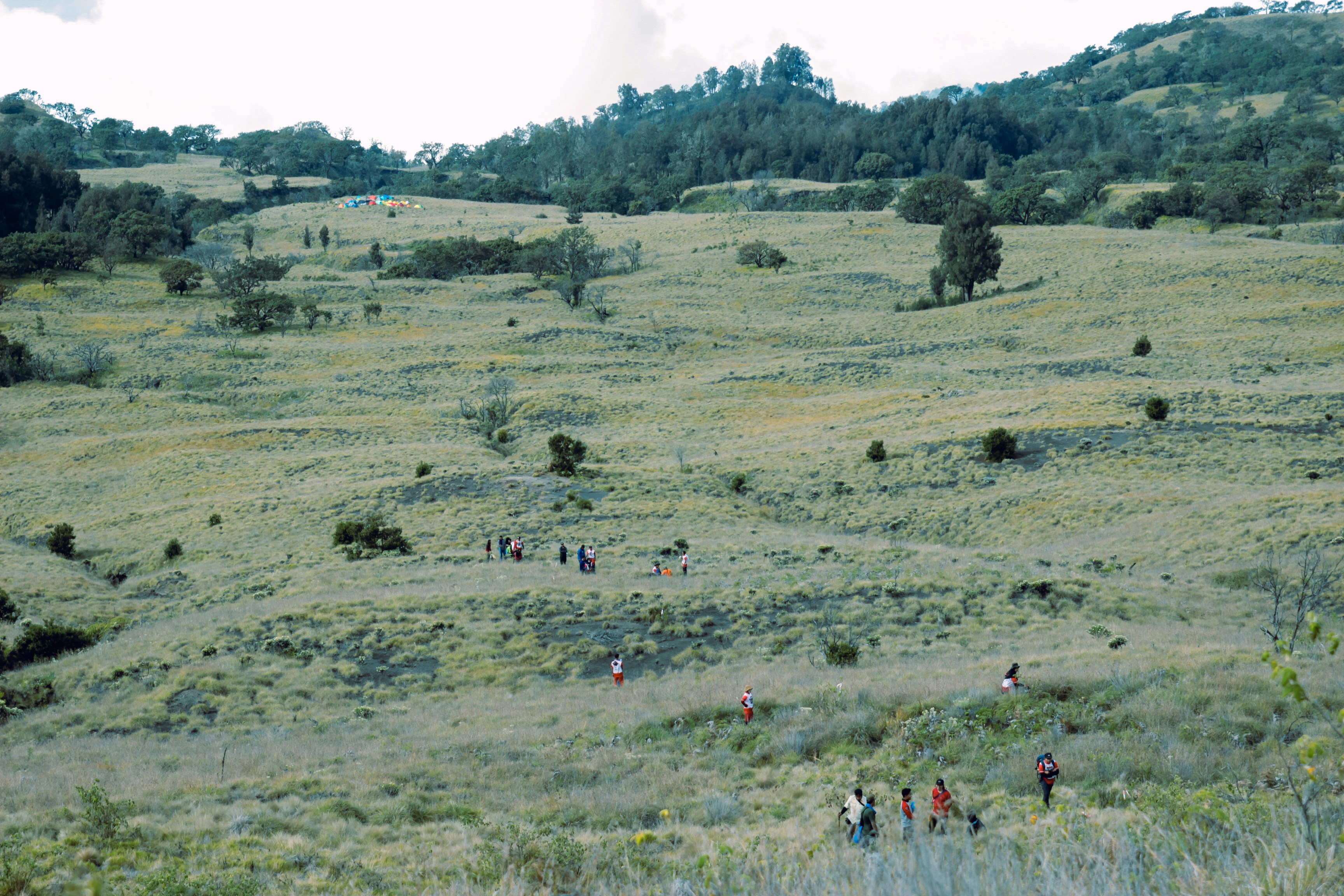 Photo by majulancar_projek