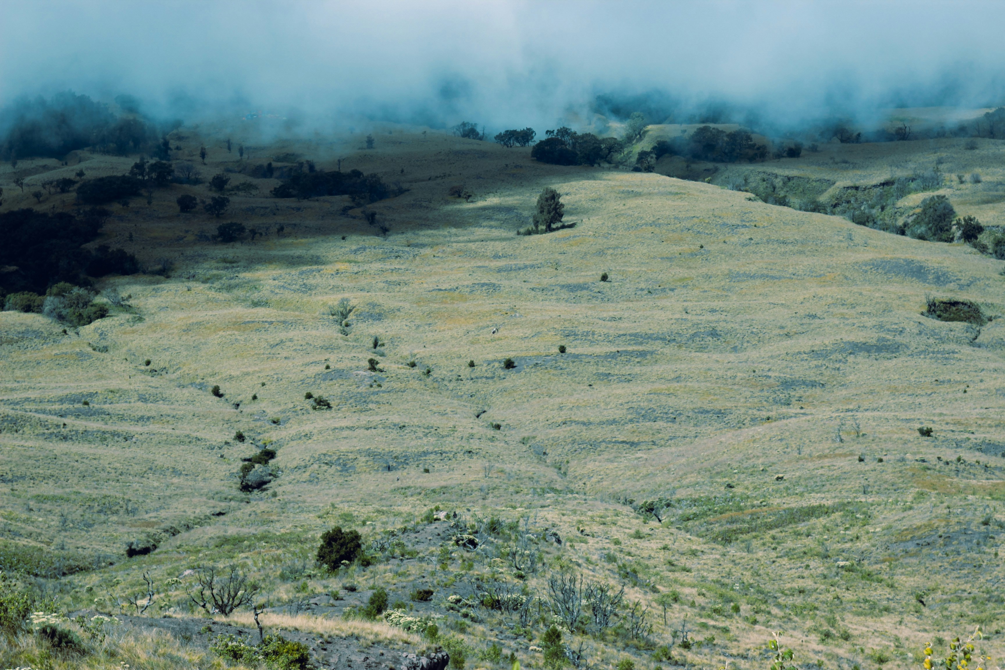 amazing savana in south track of rinjani