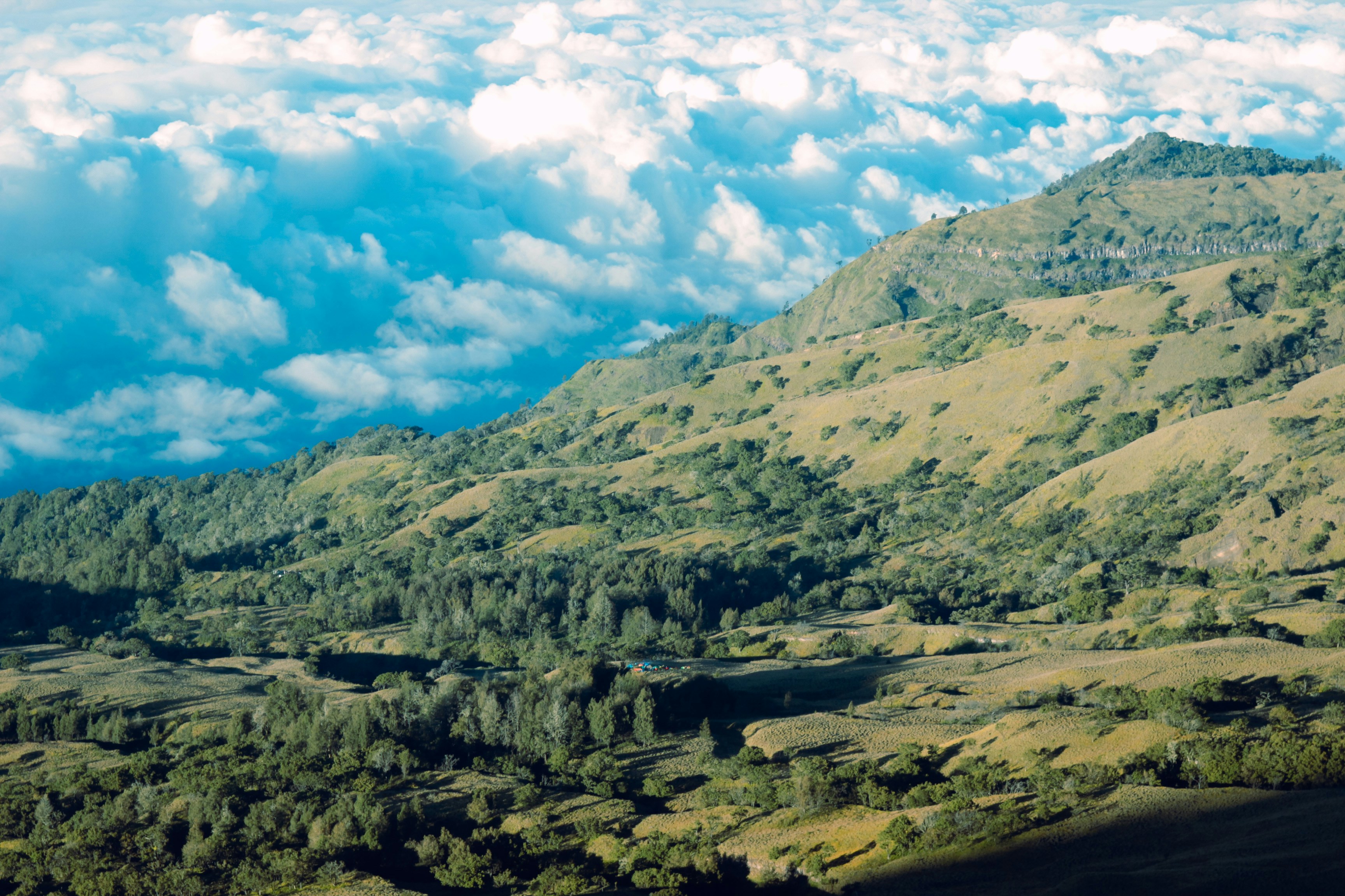 Photo by majulancar_projek